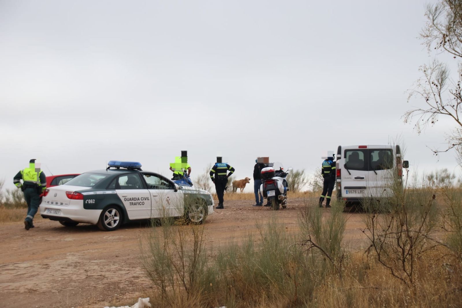 a1cbb423-ca37-4780-899b-8dddda4767cb