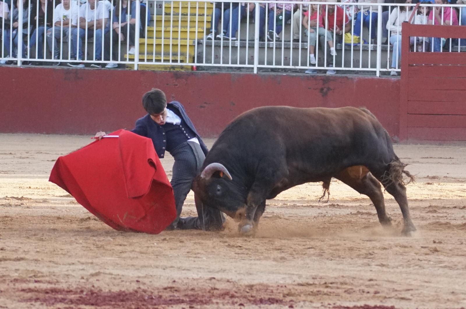 whatsapp-image-2024-09-07-at-20-49-11-1