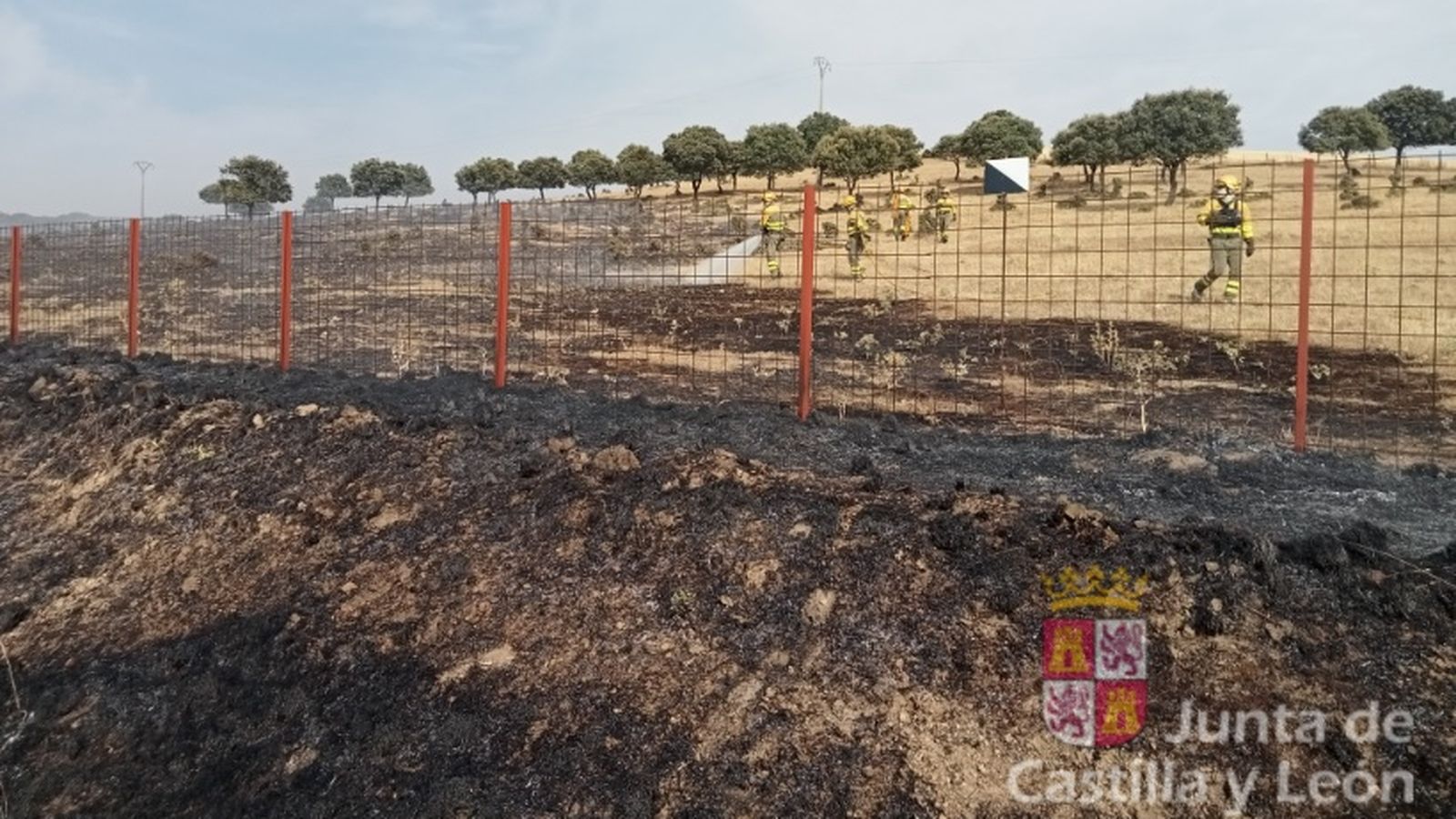 Incendio que afecta a una parcela próxima a Villalba de los Llanos