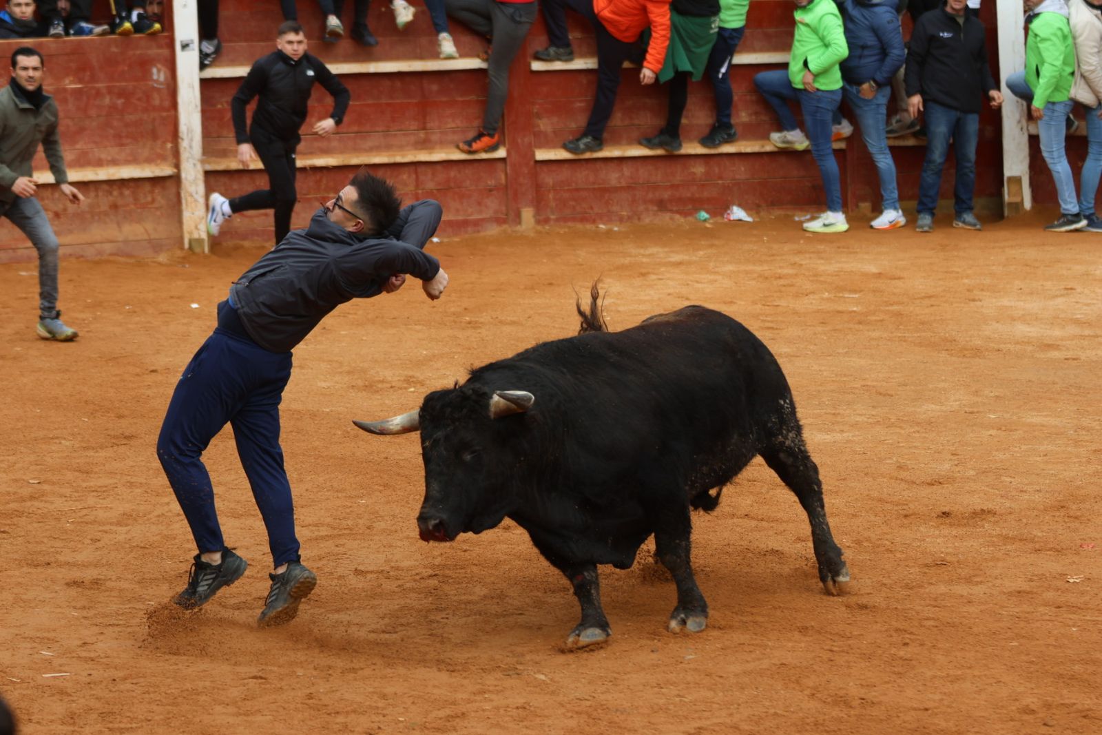 Mañana de capea de lunes en el Carnaval del Toro 2026