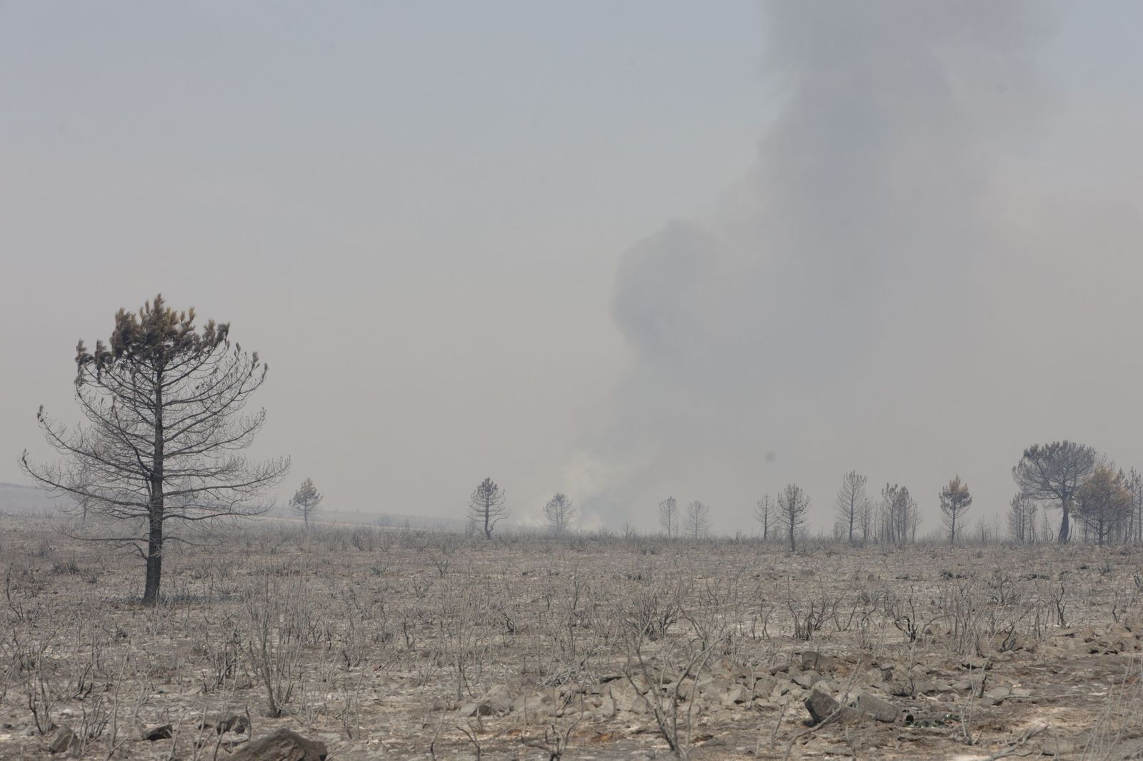 GALERÍA | Las imágenes de la lucha contra el fuego en Puercas