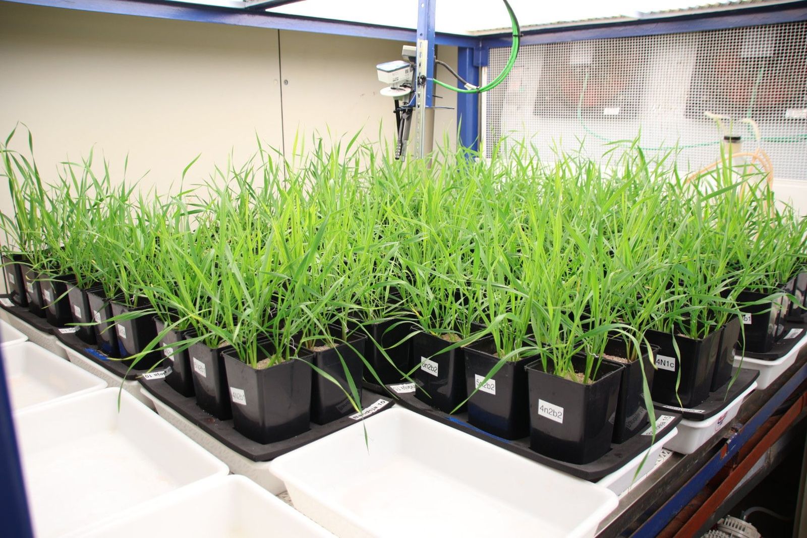 20240308103553-img-9416