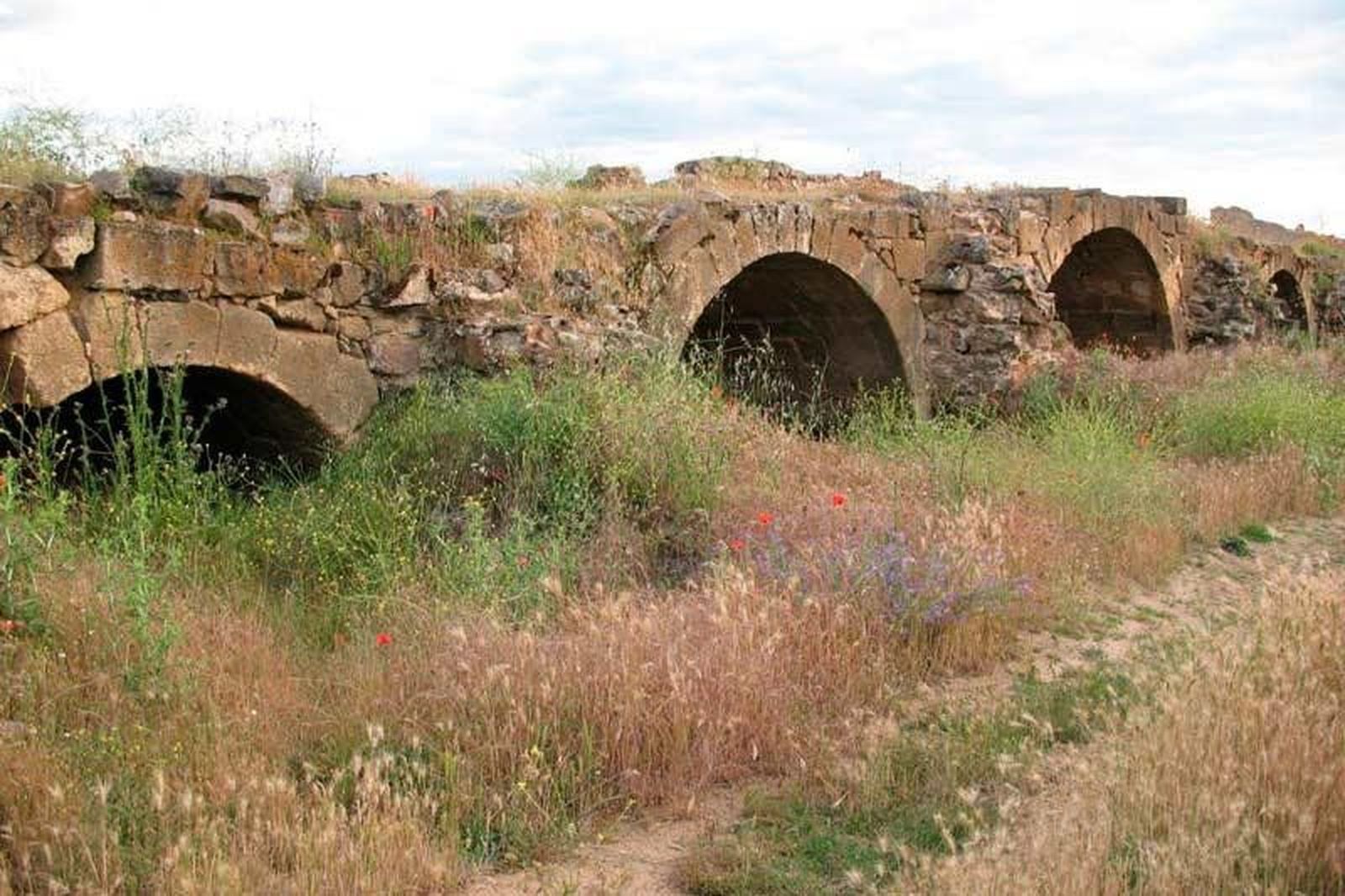 Canu0303ada burgalesa2