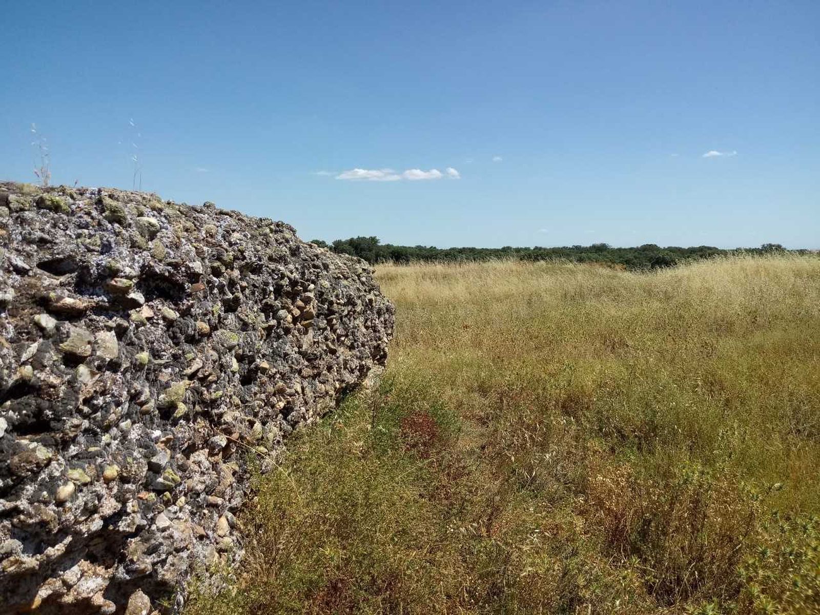 Restos castillo Lagunas Rubias, Aldeanueva de Figueroa