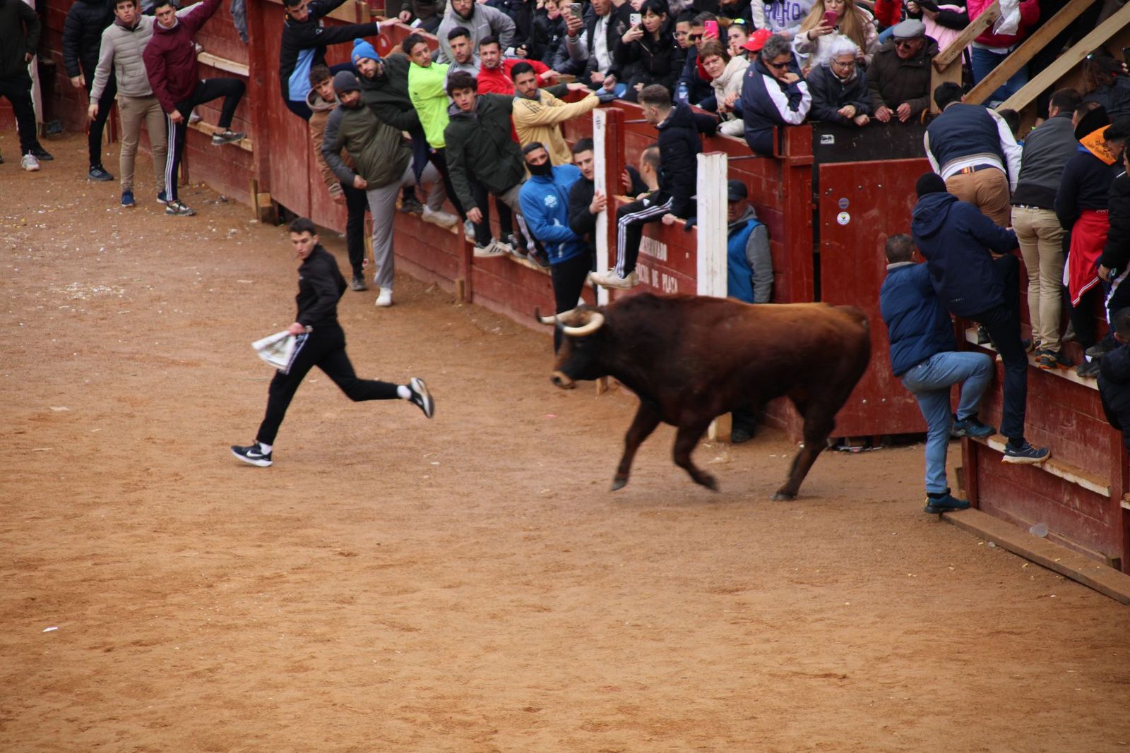 encierro-urbano-martes-de-carnaval-ciudad-rodrigo-2025-20