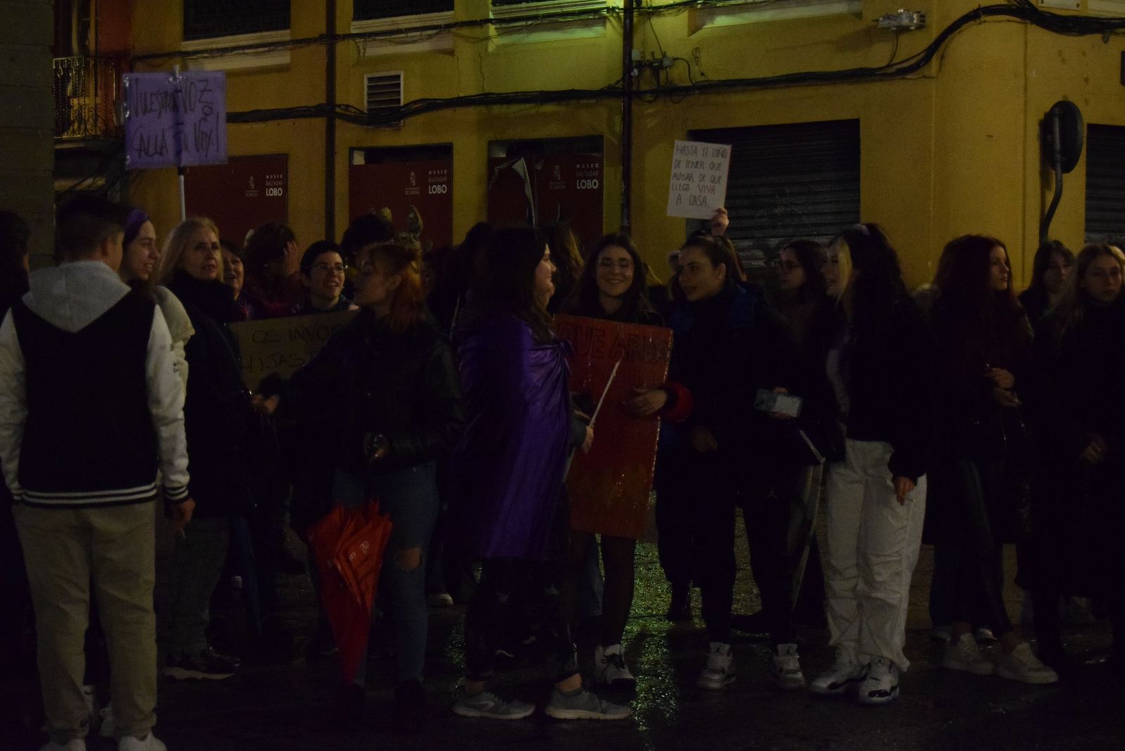 manifestacion-por-el-8m-en-zamora-32
