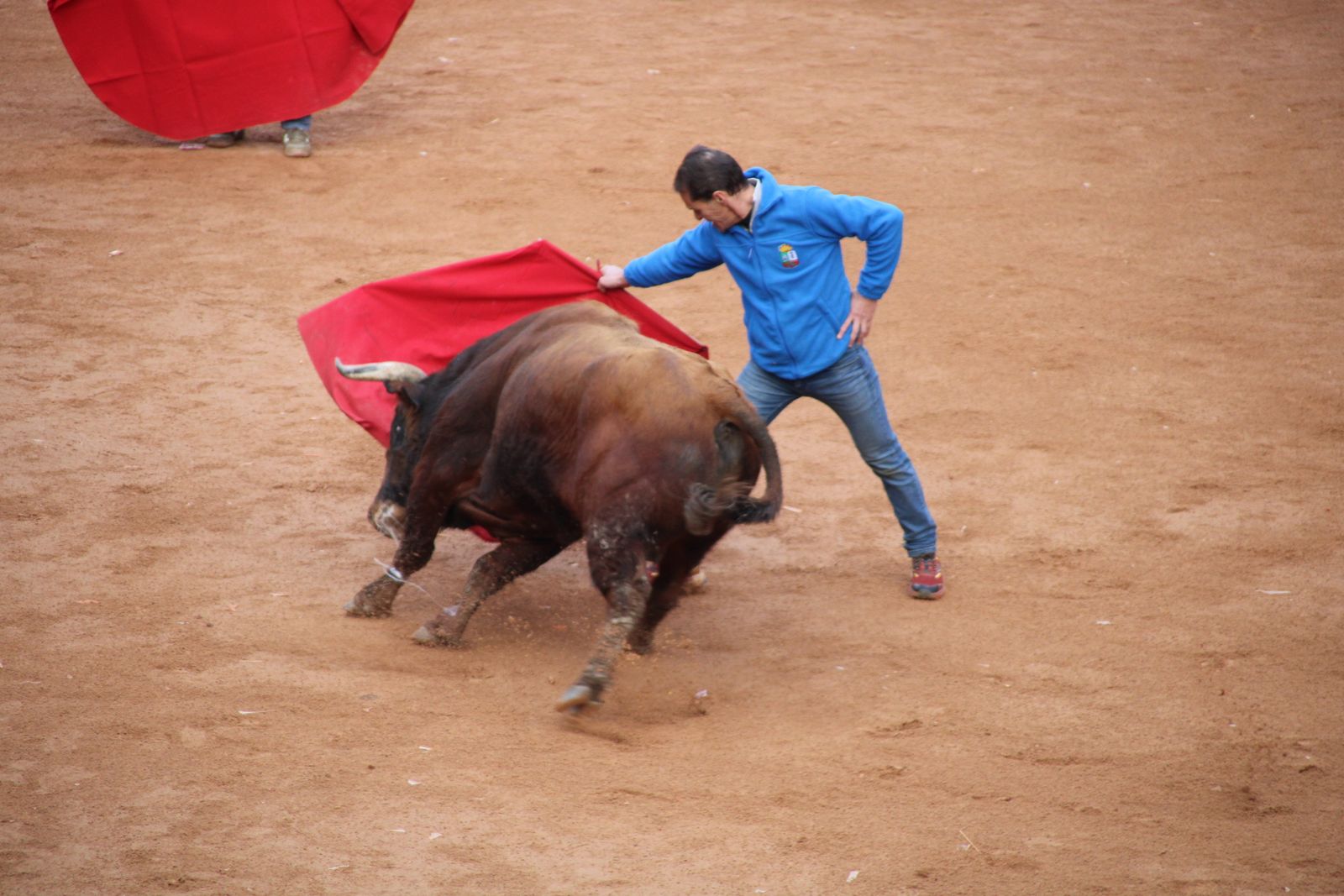 Toro del aguardiente en la mañana de martes del Carnaval del Toro 2026