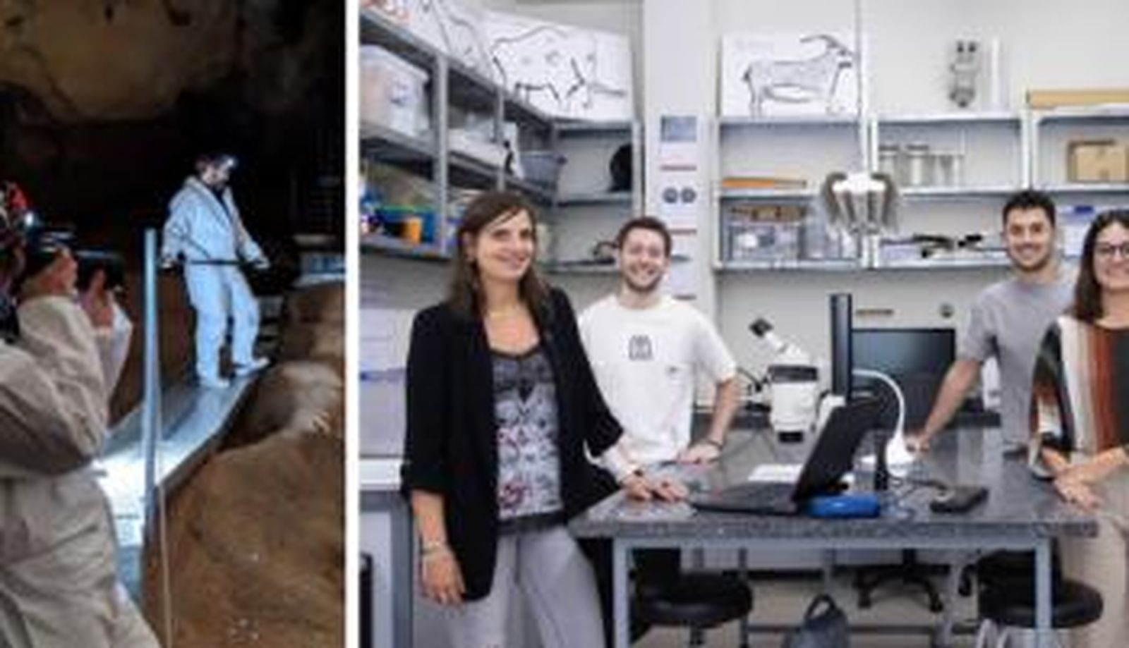 laboratorio equipo gall