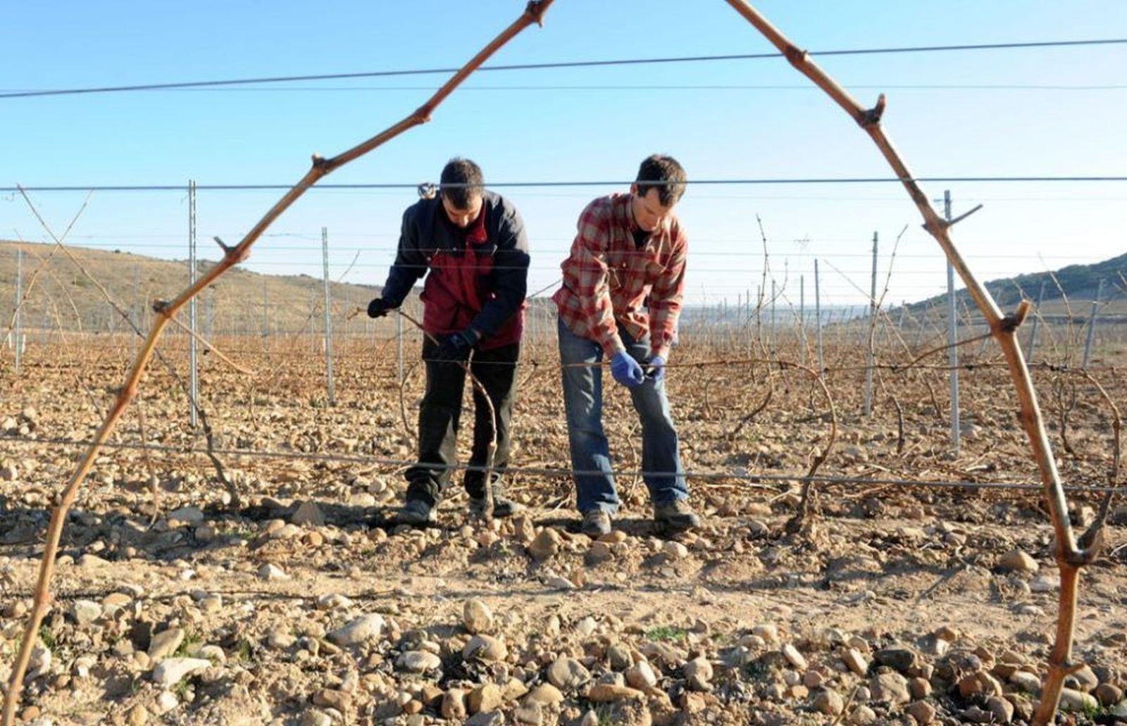 Trabajadores en el campo