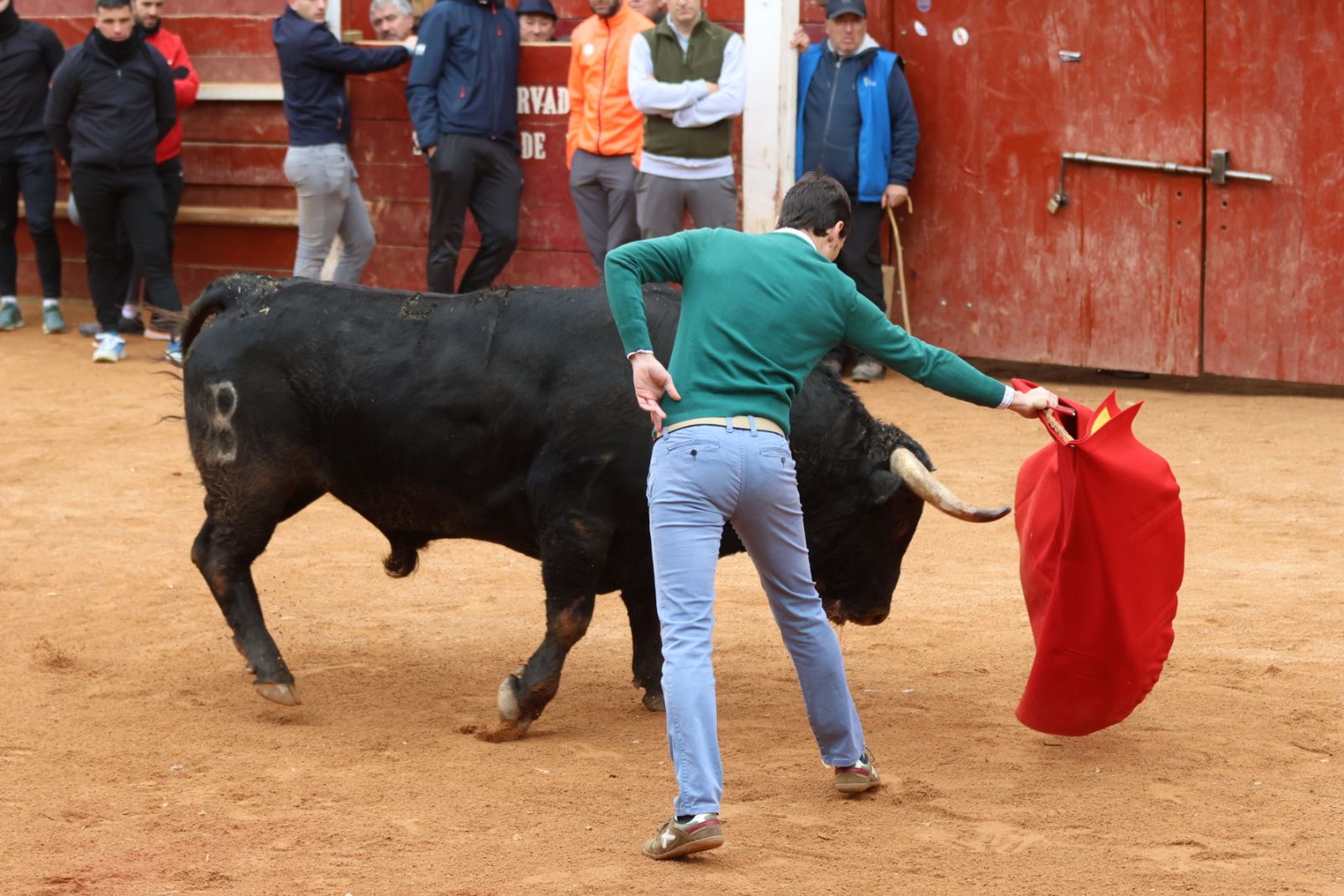 Mañana de capea de lunes en el Carnaval del Toro 2026