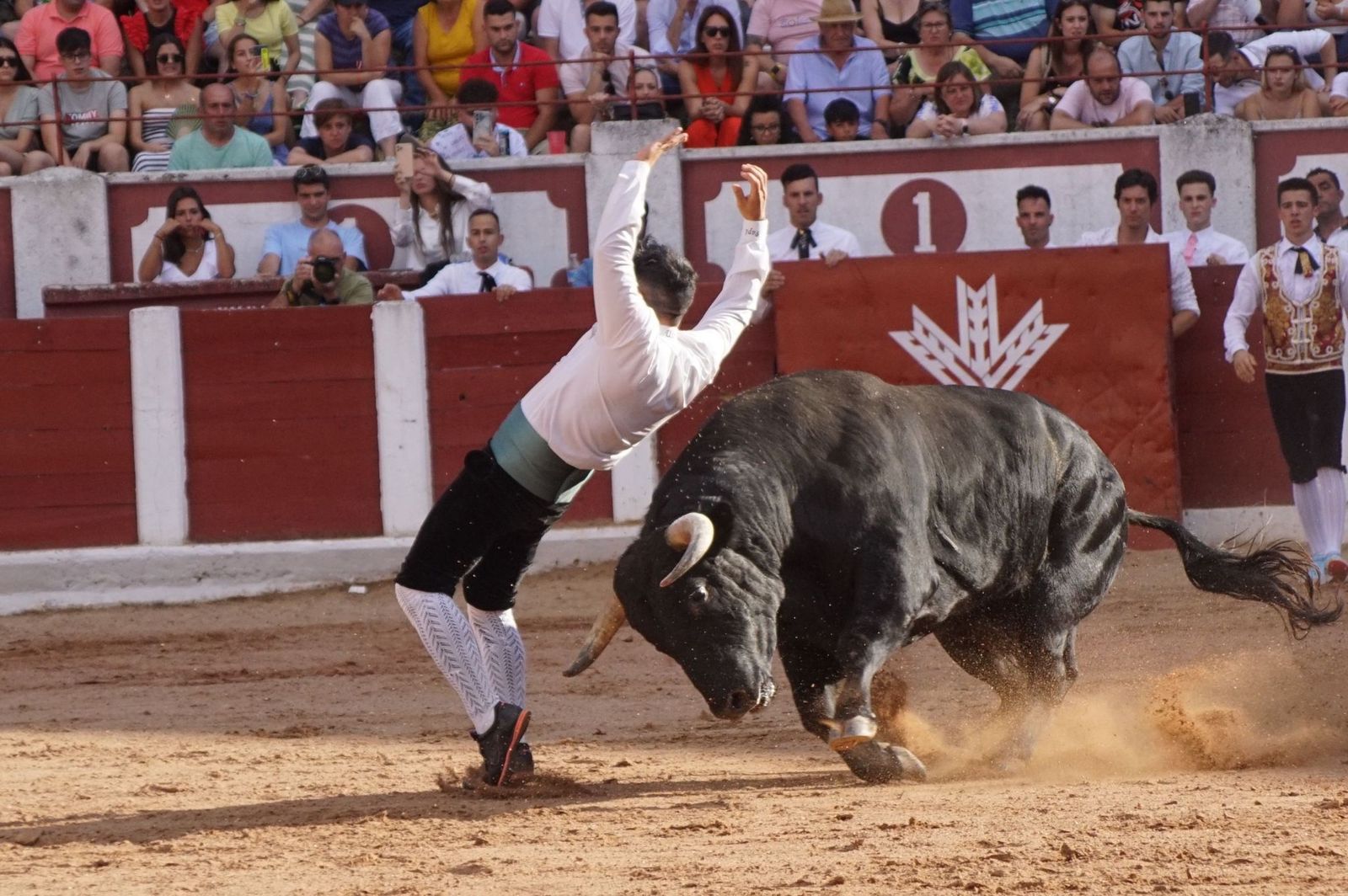 whatsapp-image-2023-07-02-at-22-40-31