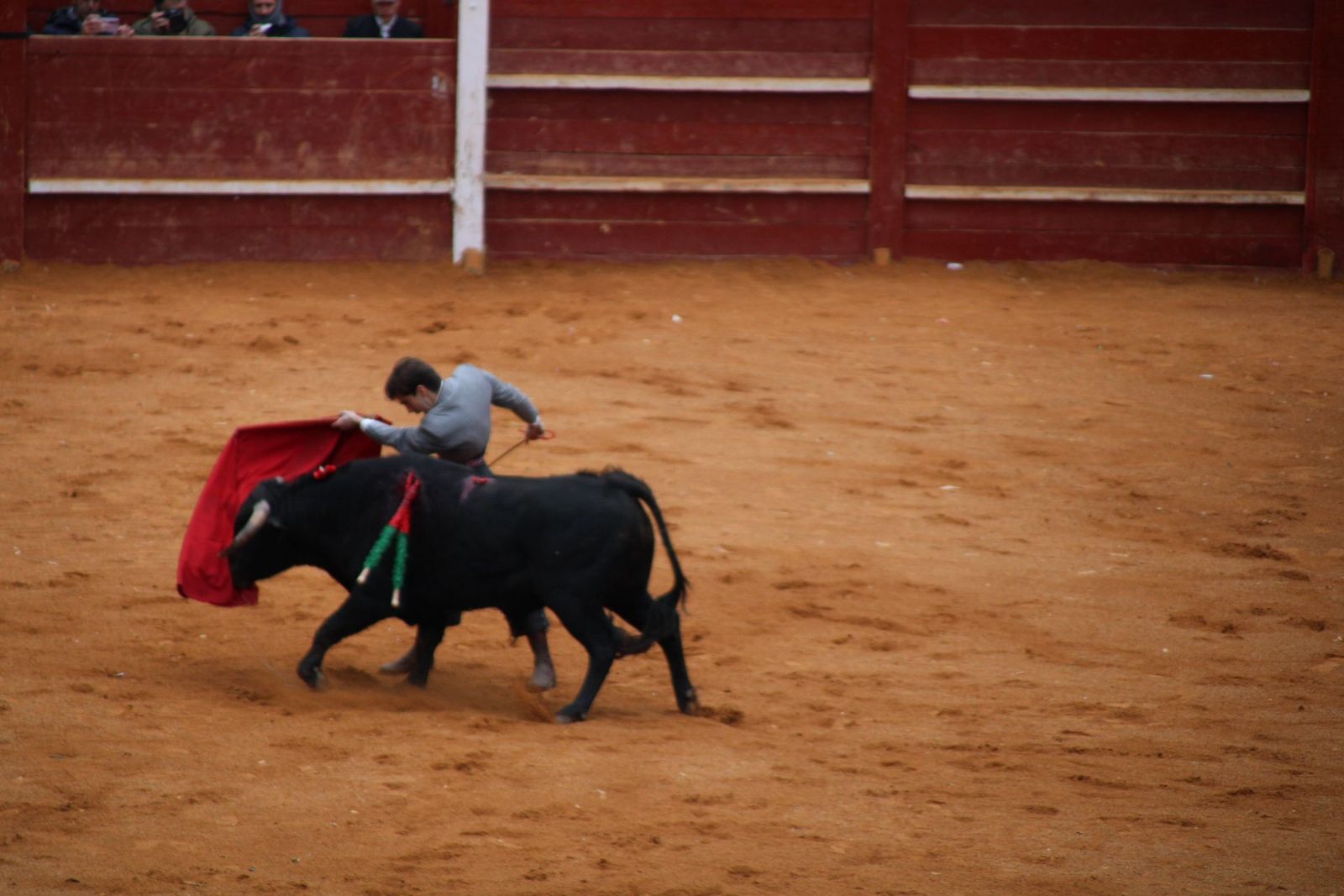 whatsapp-image-2025-03-02-at-18-54-16