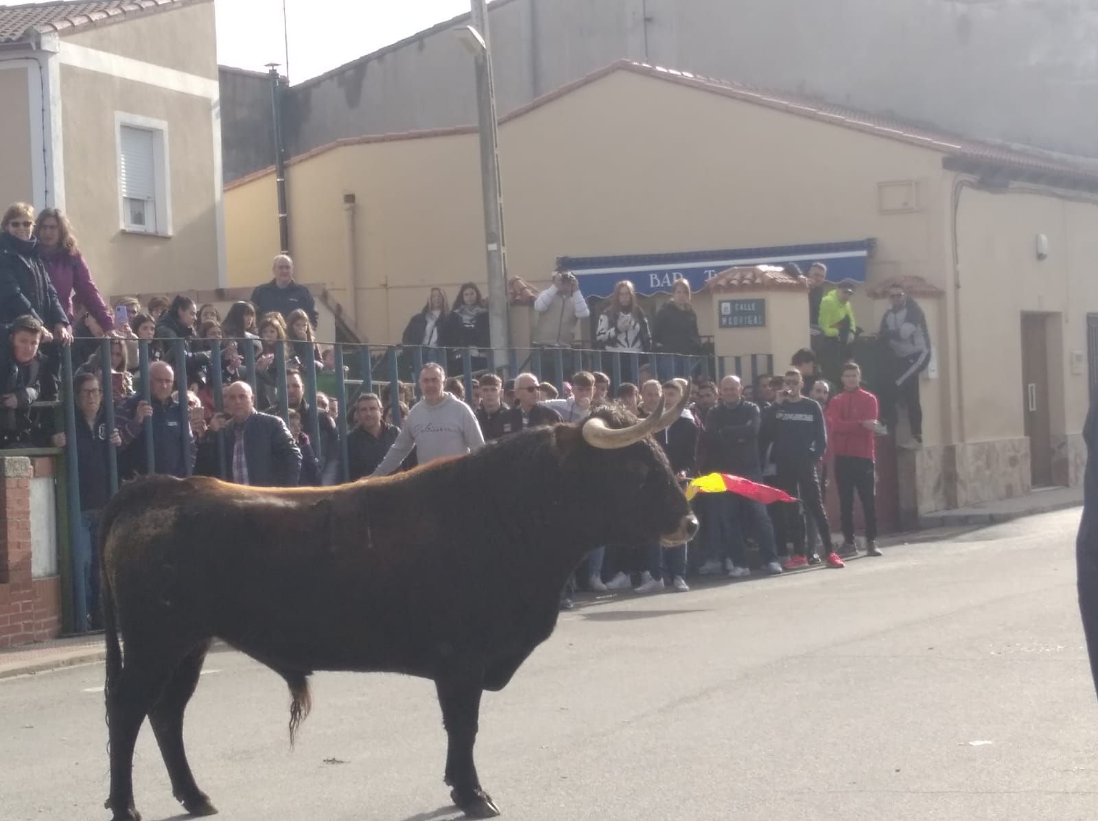 whatsapp-image-2022-12-10-at-13-52-44