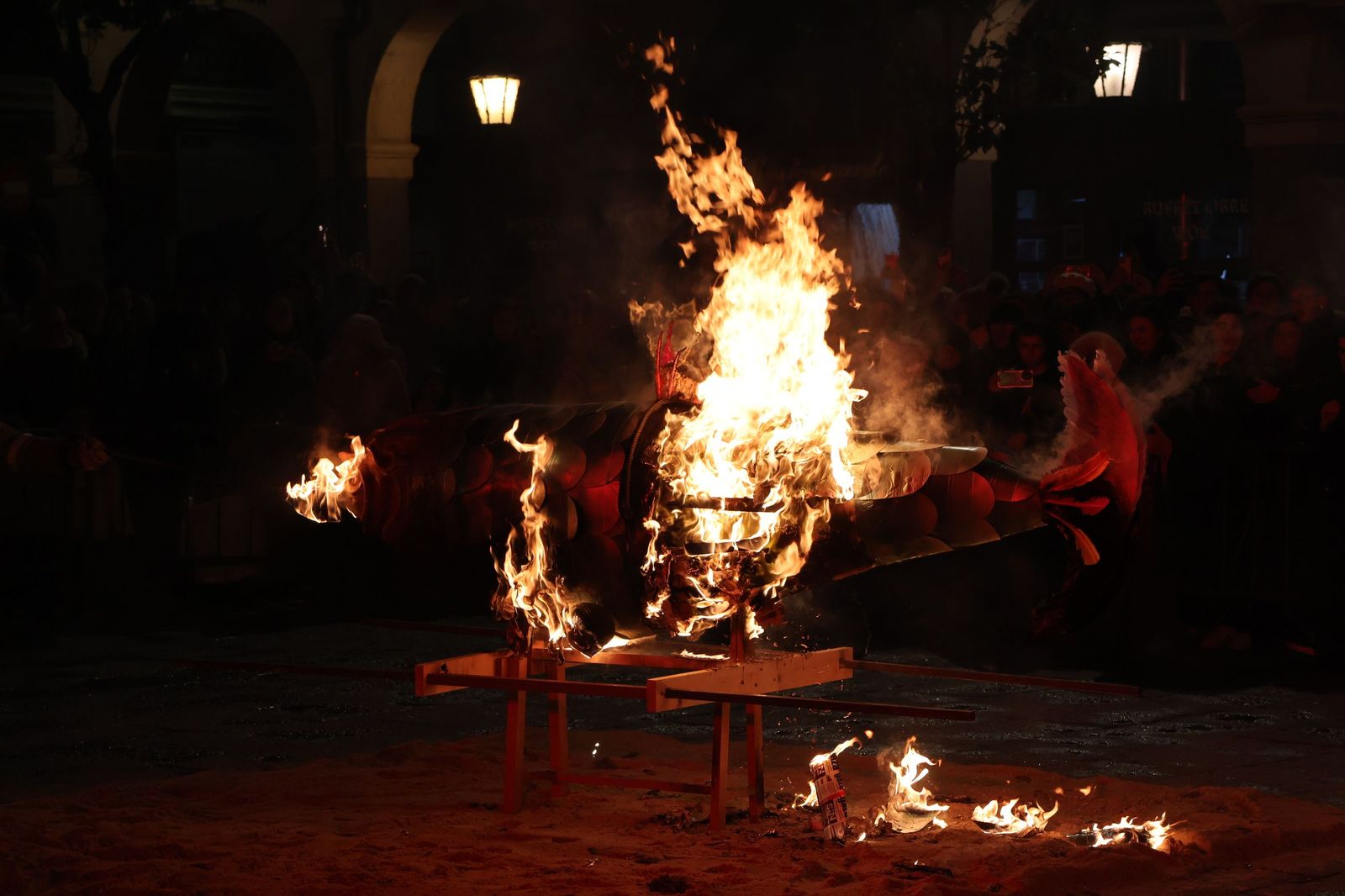 GALERÍA | Entierro de la sardina Zamora 2026