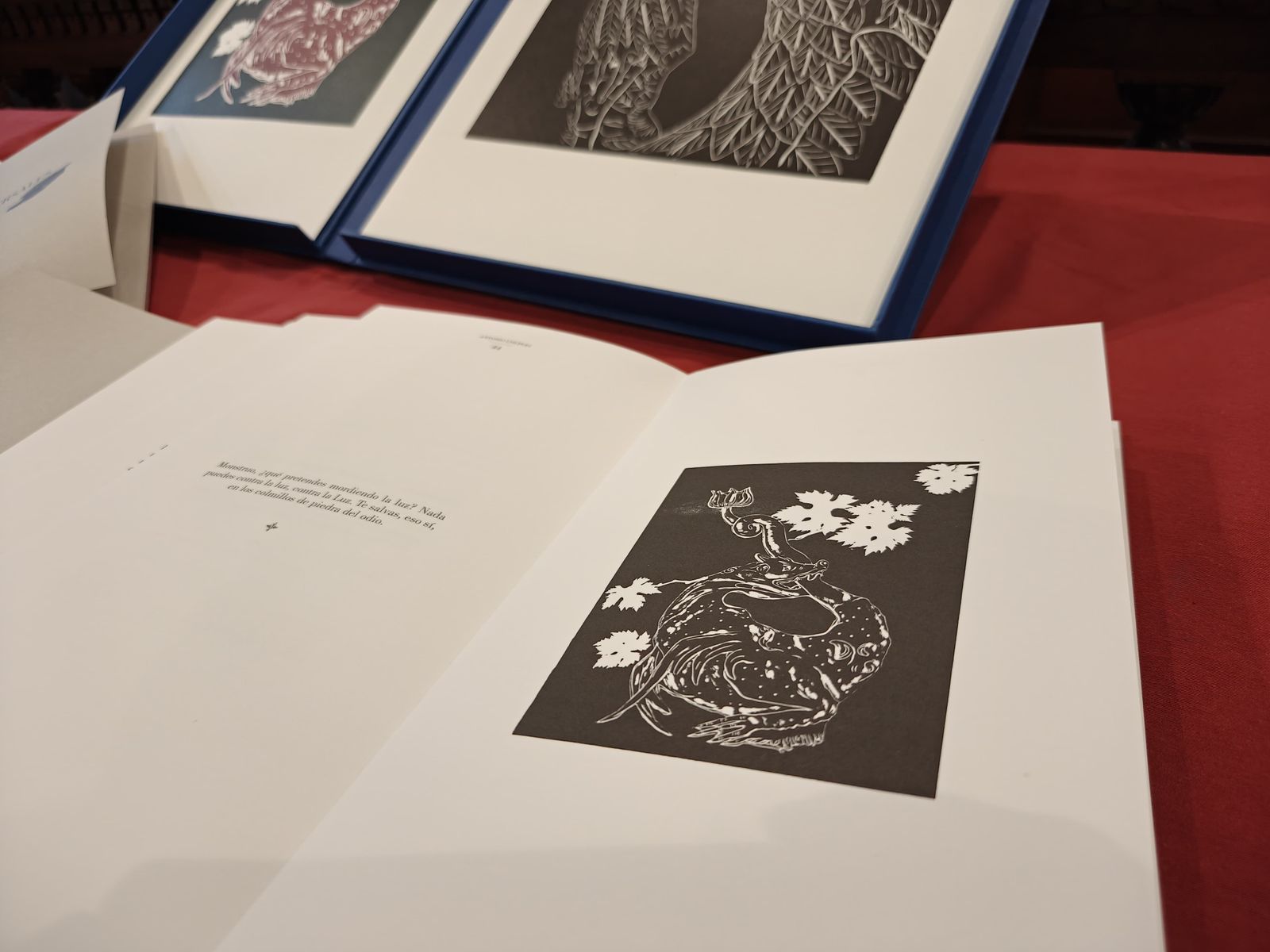 whatsapp-image-2025-01-24-at-15-06-03-3