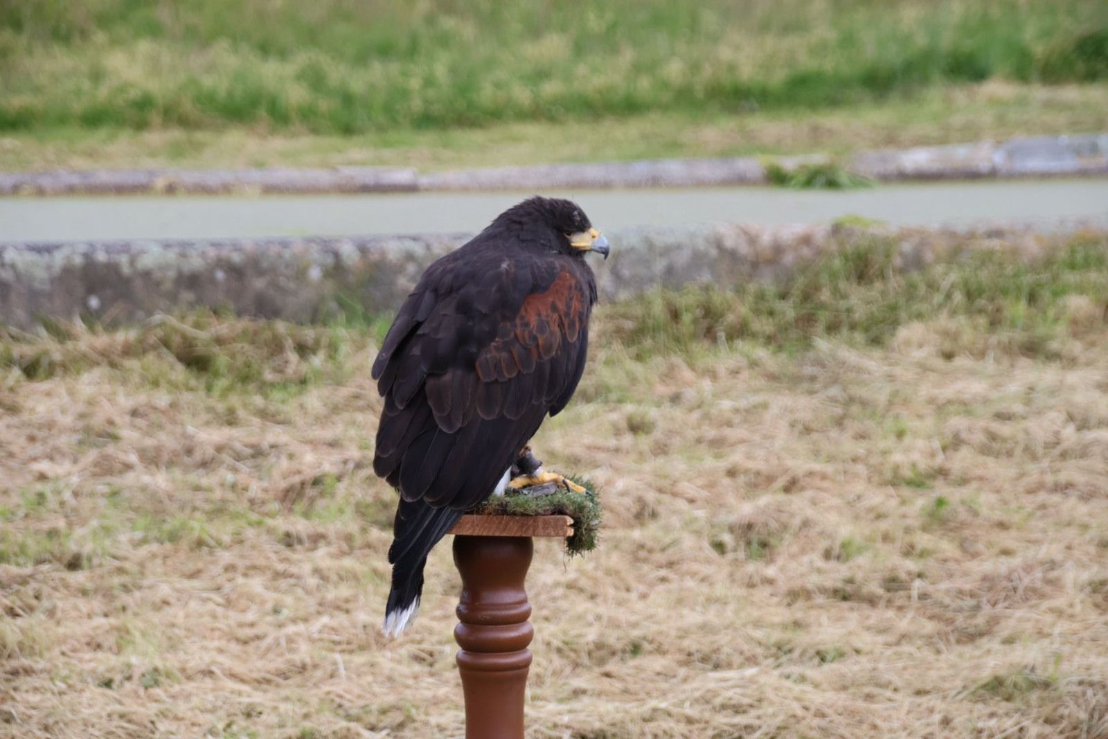 20240501102011-img-2858