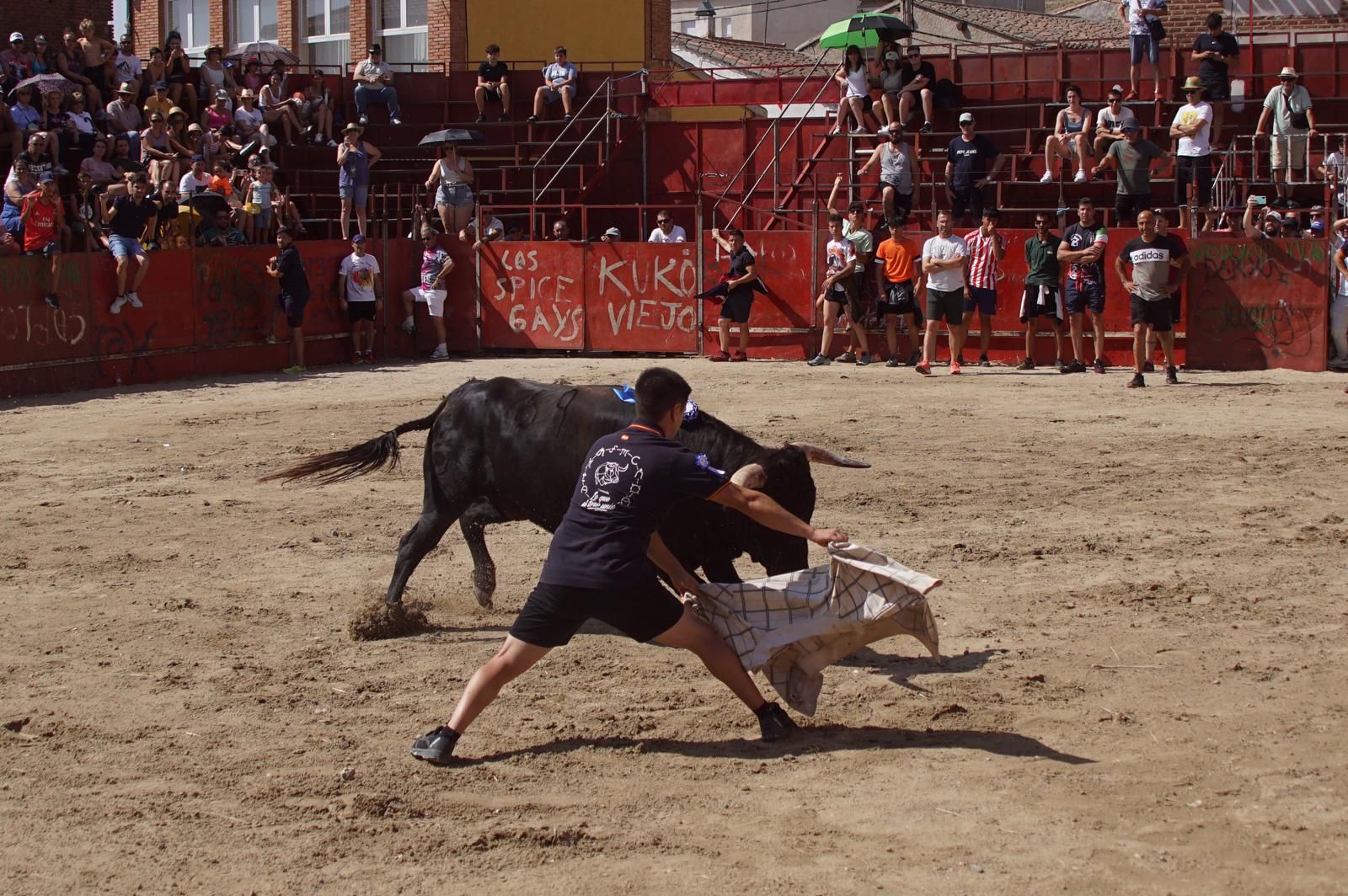 toro-de-cajon-de-castrillo-de-la-guarena-fotos-juanes-17