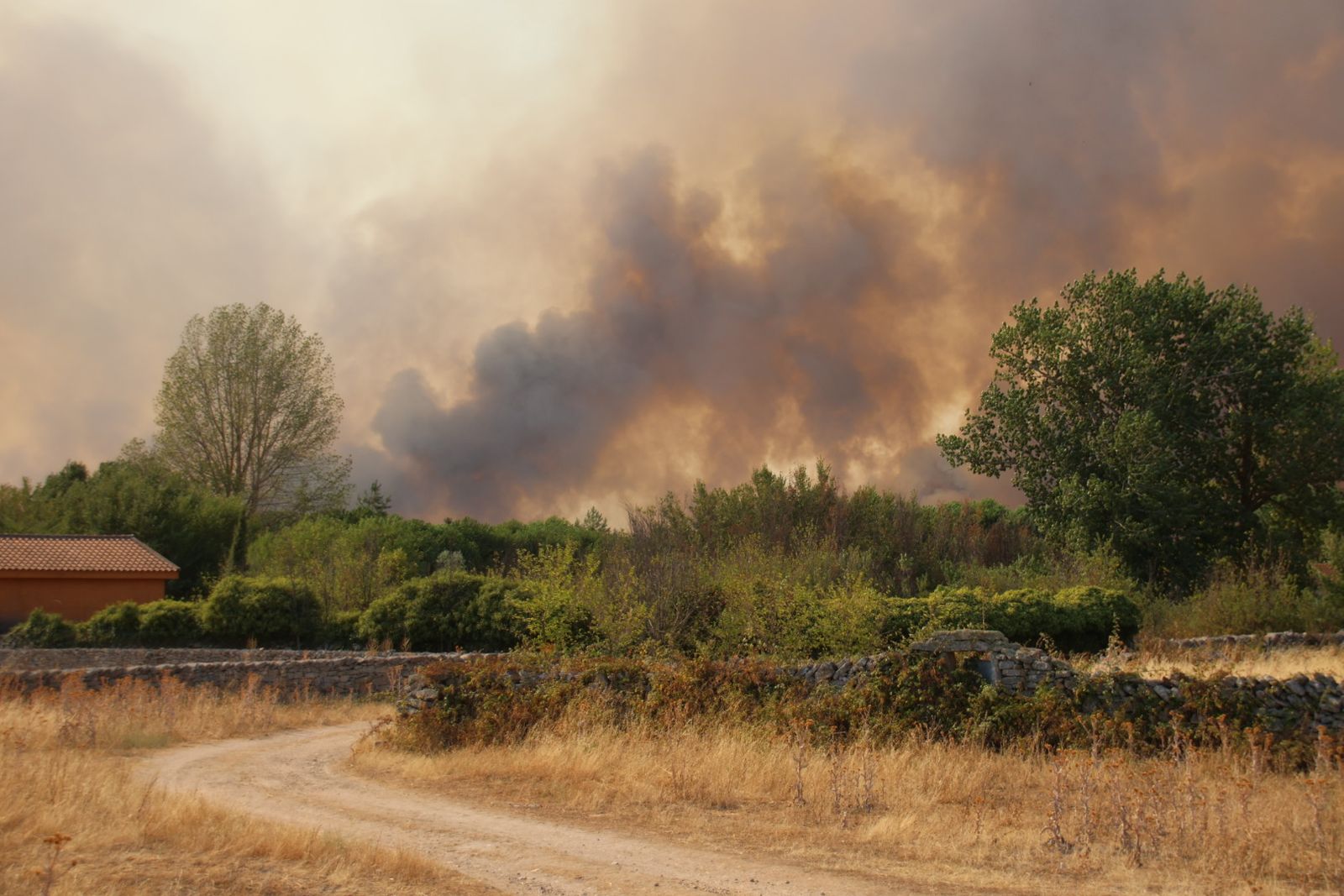 El incendio de Cipérez (IGR2) llega hasta Cerezal de Puertas