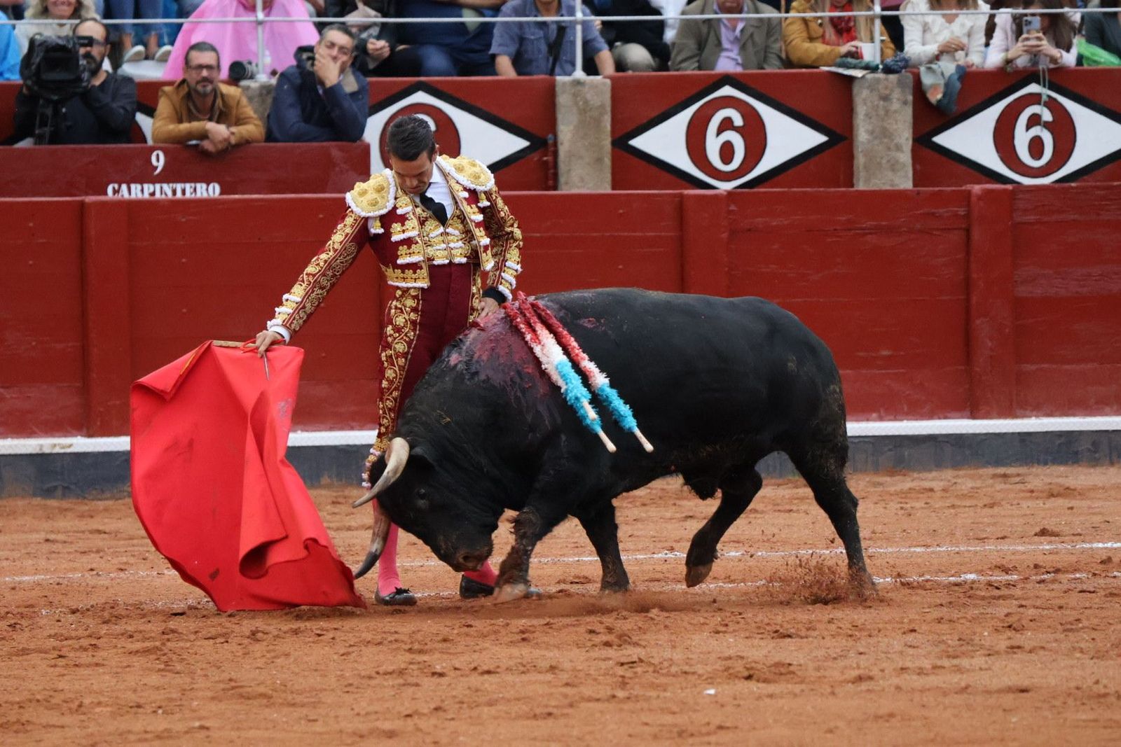 20230916185153-img-5618