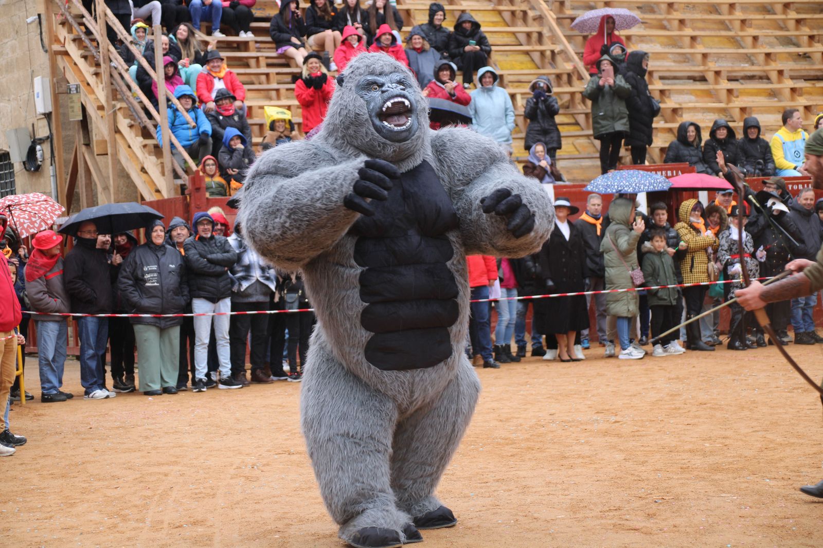 desfile-disfraz-callejero-sabado-carnaval-ciudad-rodrigo-2025-44