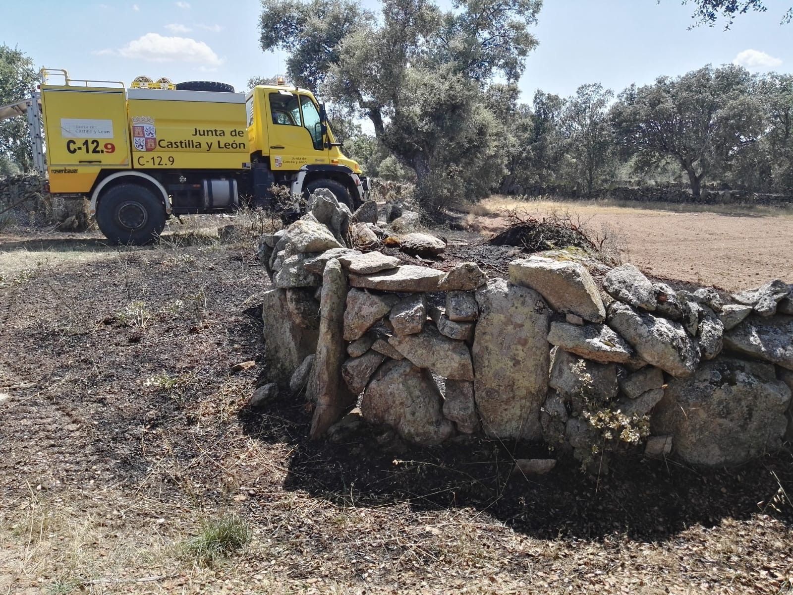 A717E65E B57E 4899 B10A 6E87E0FE2C39