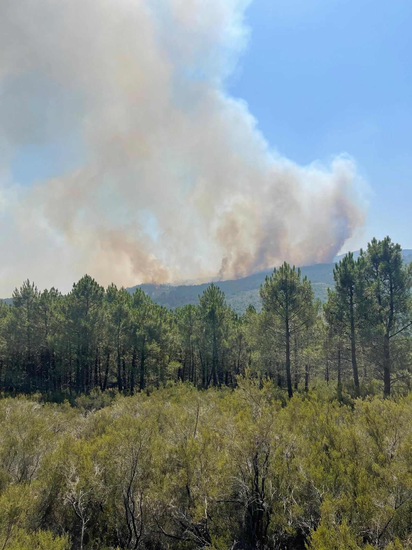 Confinada preventivamente la población de la Alberca por el Incendio de Índice de Gravedad 2