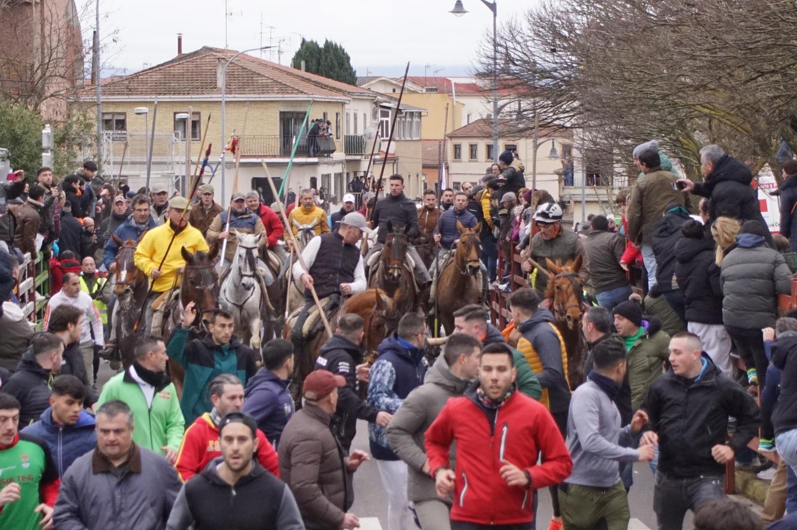Encierro a Caballo en el Carnaval del Toro 2026 de Ciudad Rodrigo