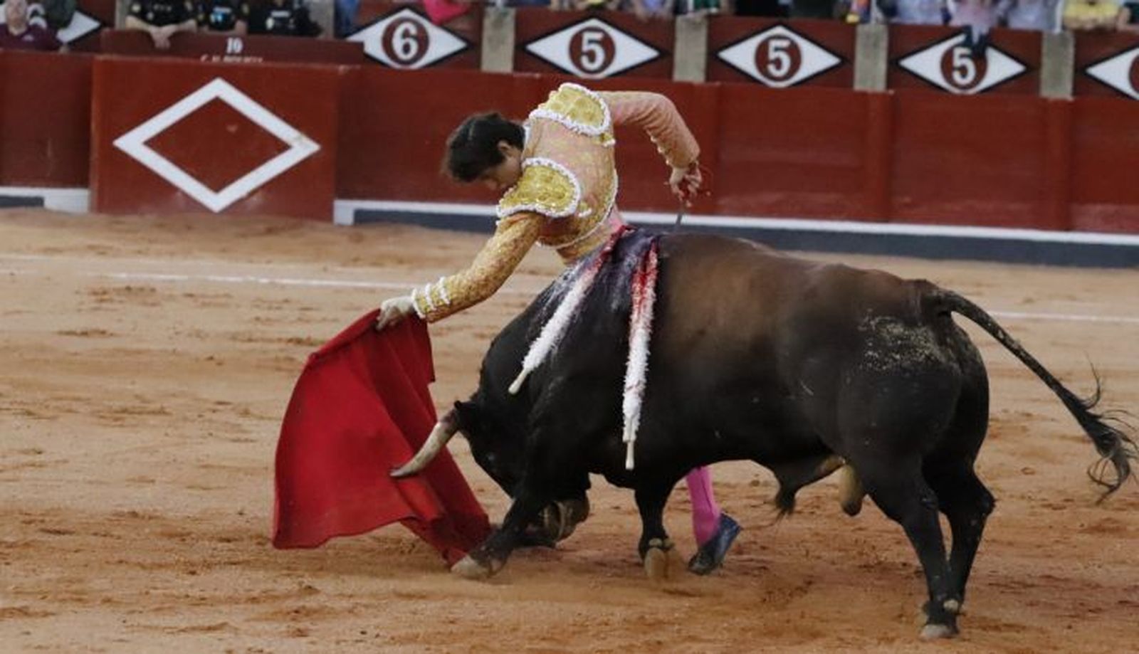 WhatsApp Image 2022 09 18 at 8.40.57 PM