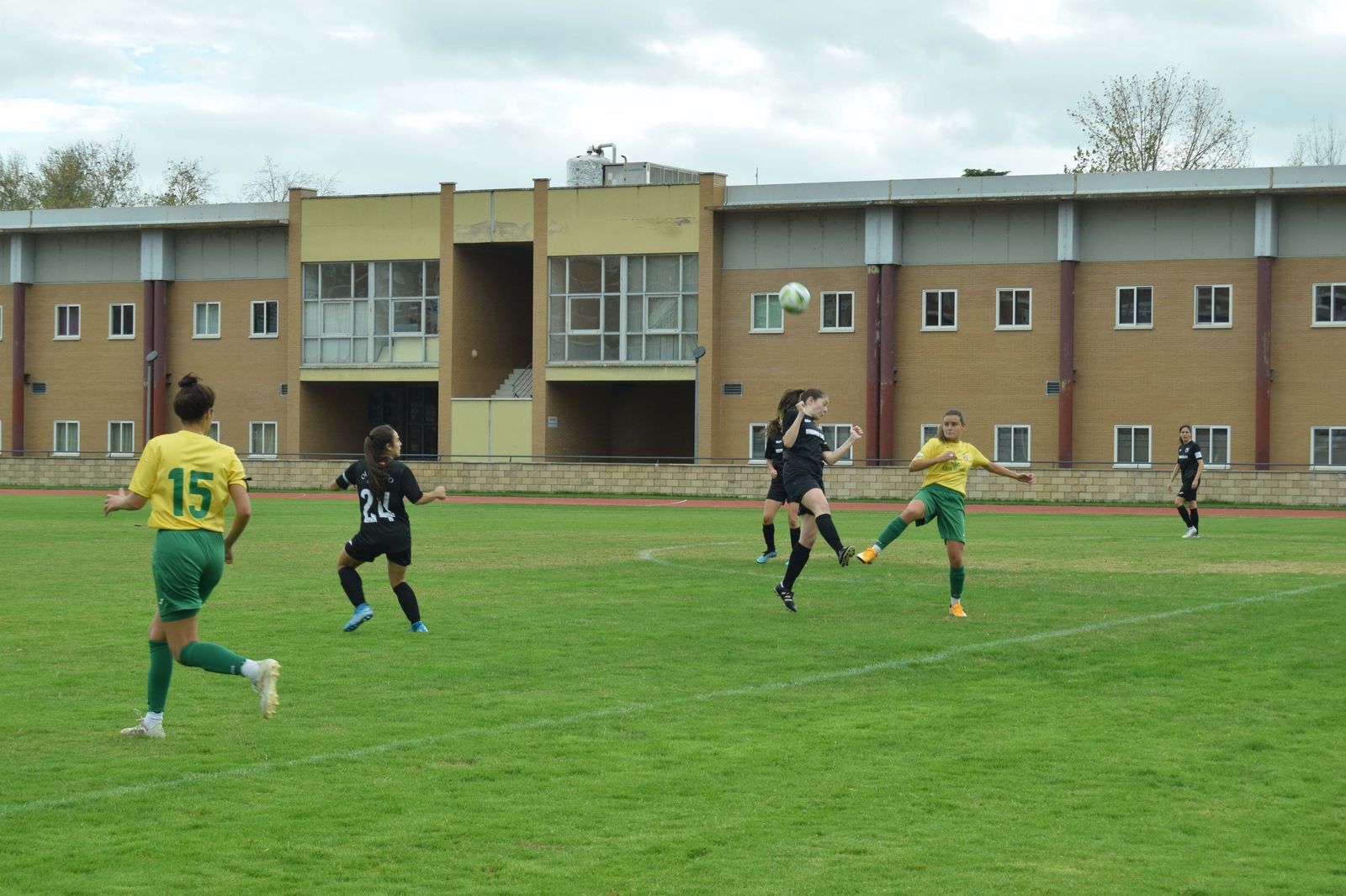 DSC 0049 DSC 0049