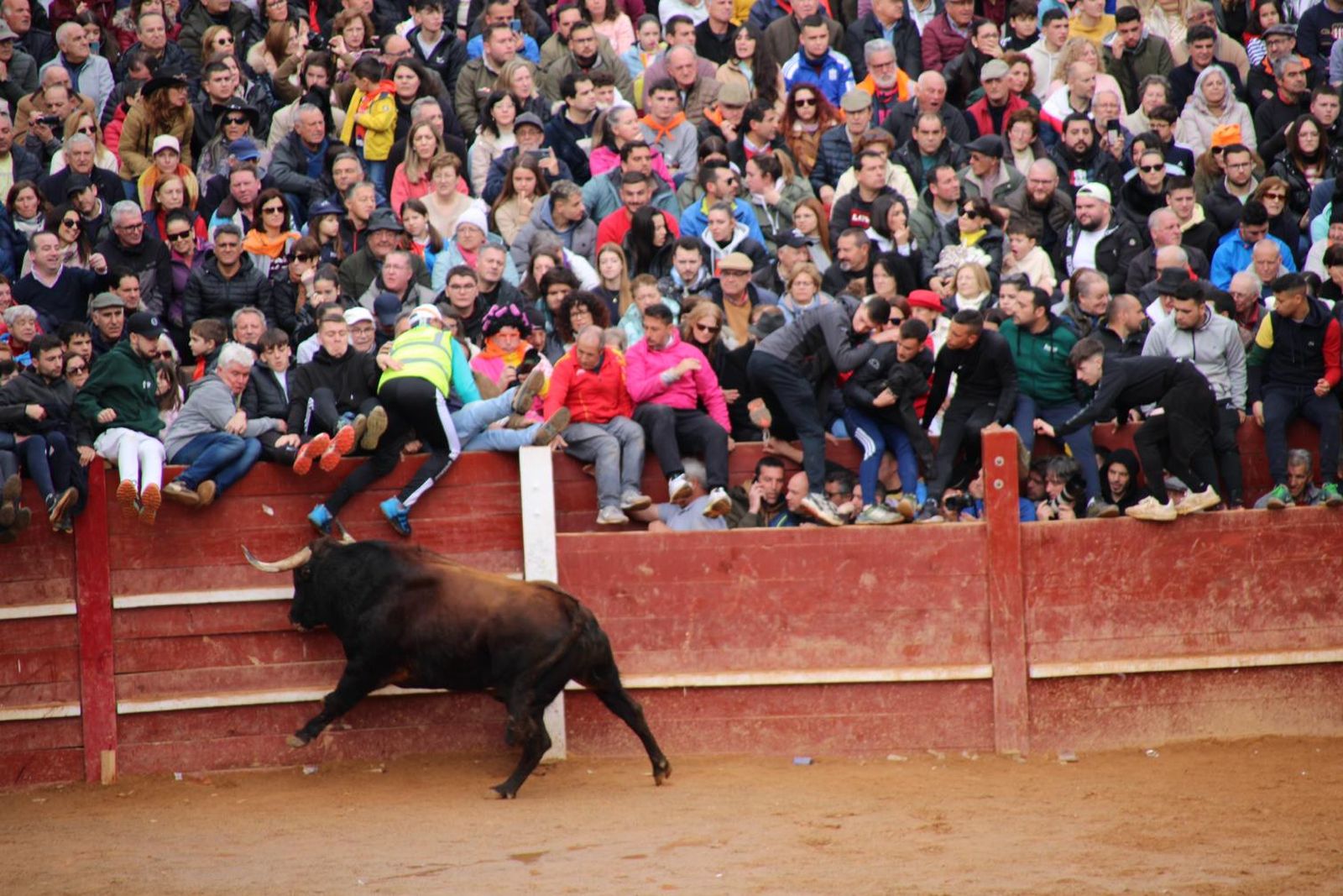 capea-matutina-del-martes-de-carnaval-15