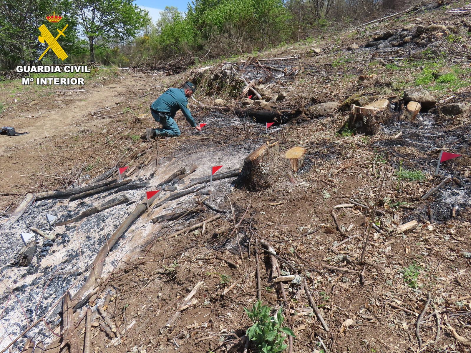 La Guardia Civil investiga al supuesto responsable de un incendio forestal en el Puerto de Béjar