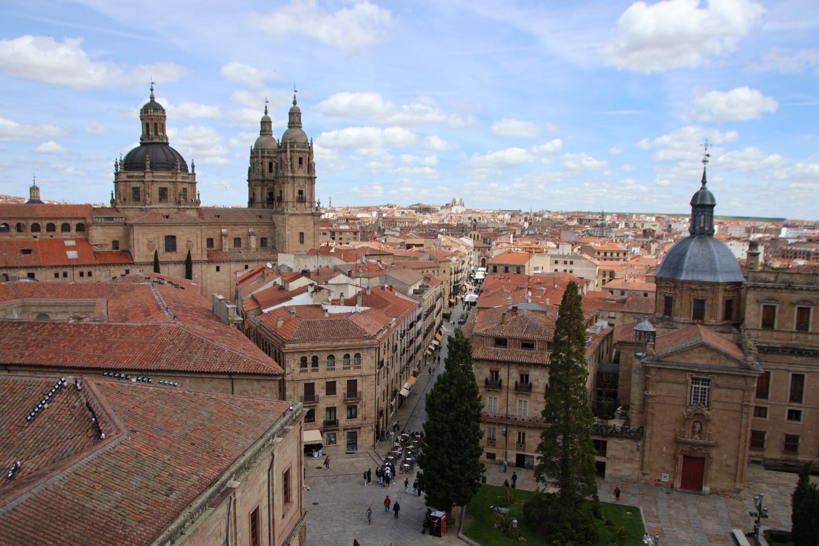 Día Internacional de los Museos con jornadas de puertas abiertas y visitas guiadas