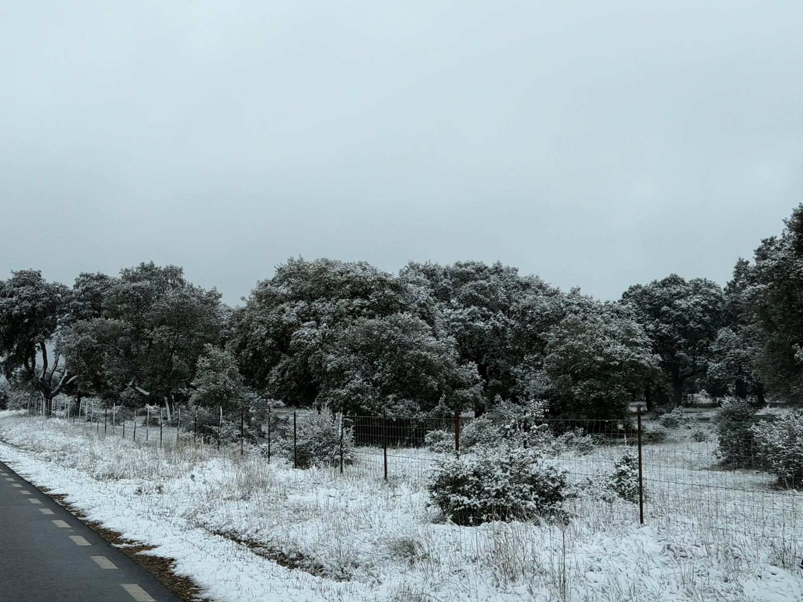Nieve en Cuatro Calzadas, Pereña y Guijuelo este sábado