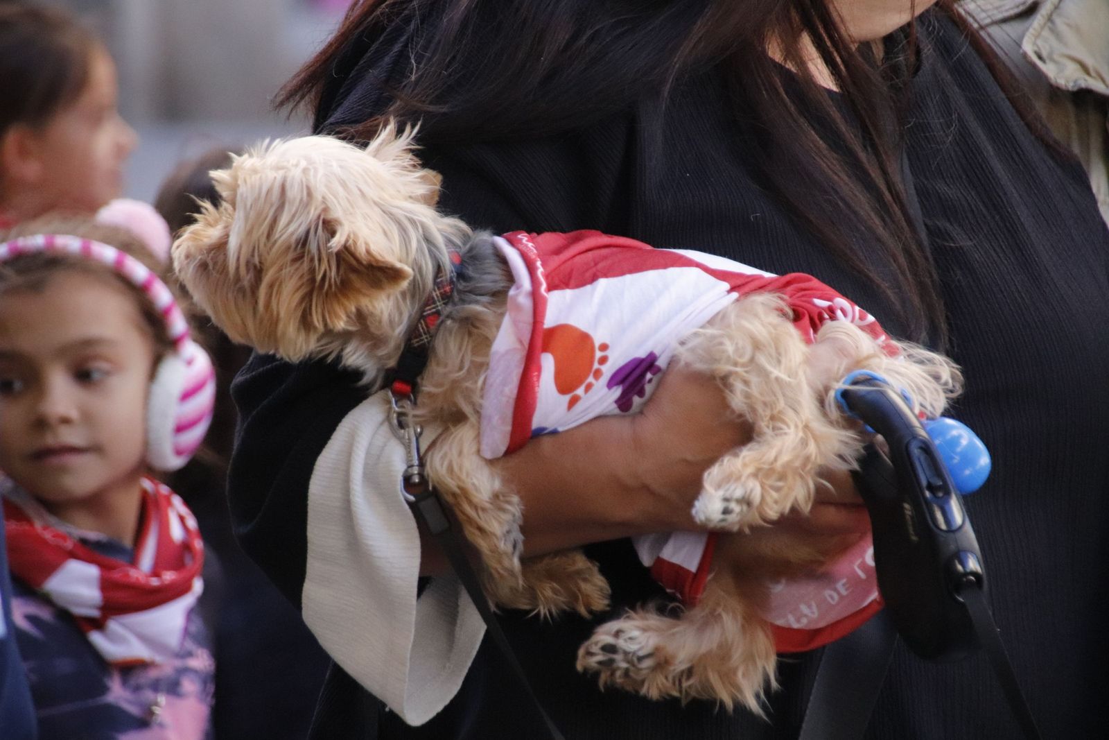 20221023111939-mg-7006