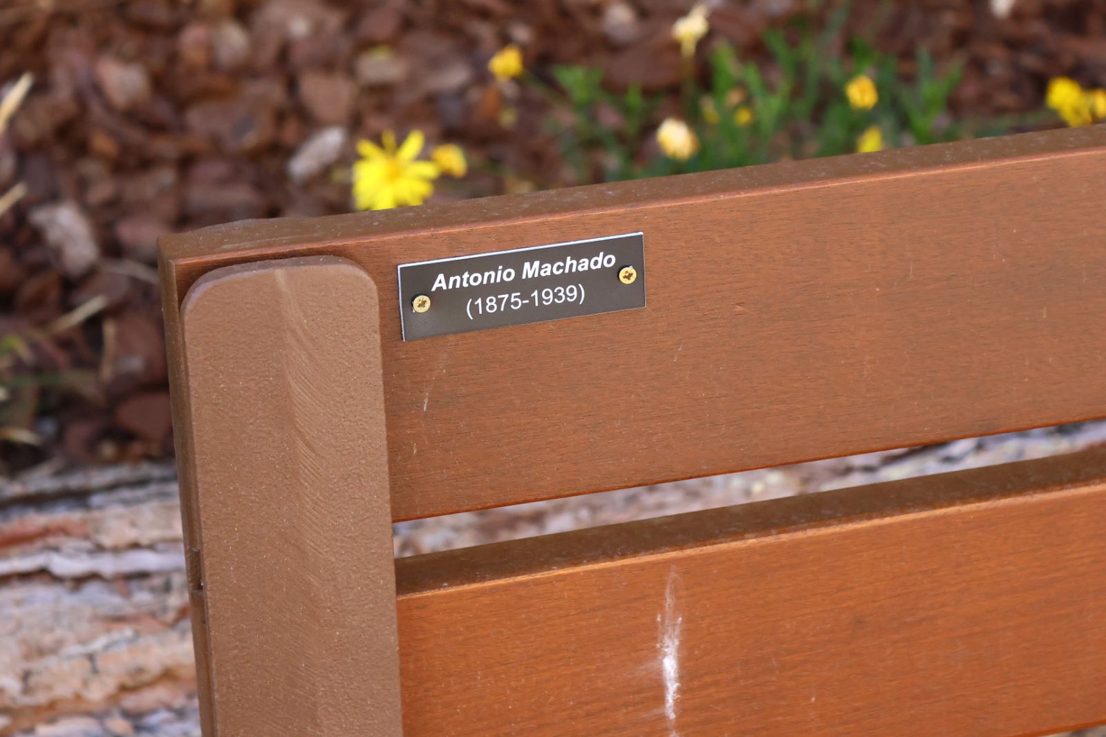 Cuentacuentos y quedada de lectura en el Barrio del Oeste