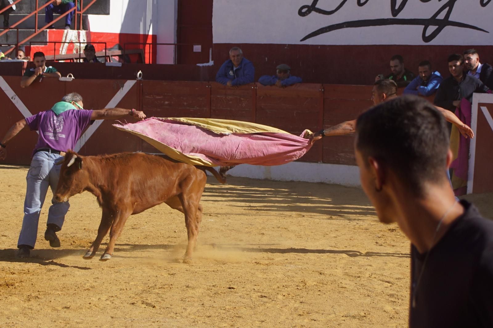 whatsapp-image-2024-09-08-at-14-05-32-4