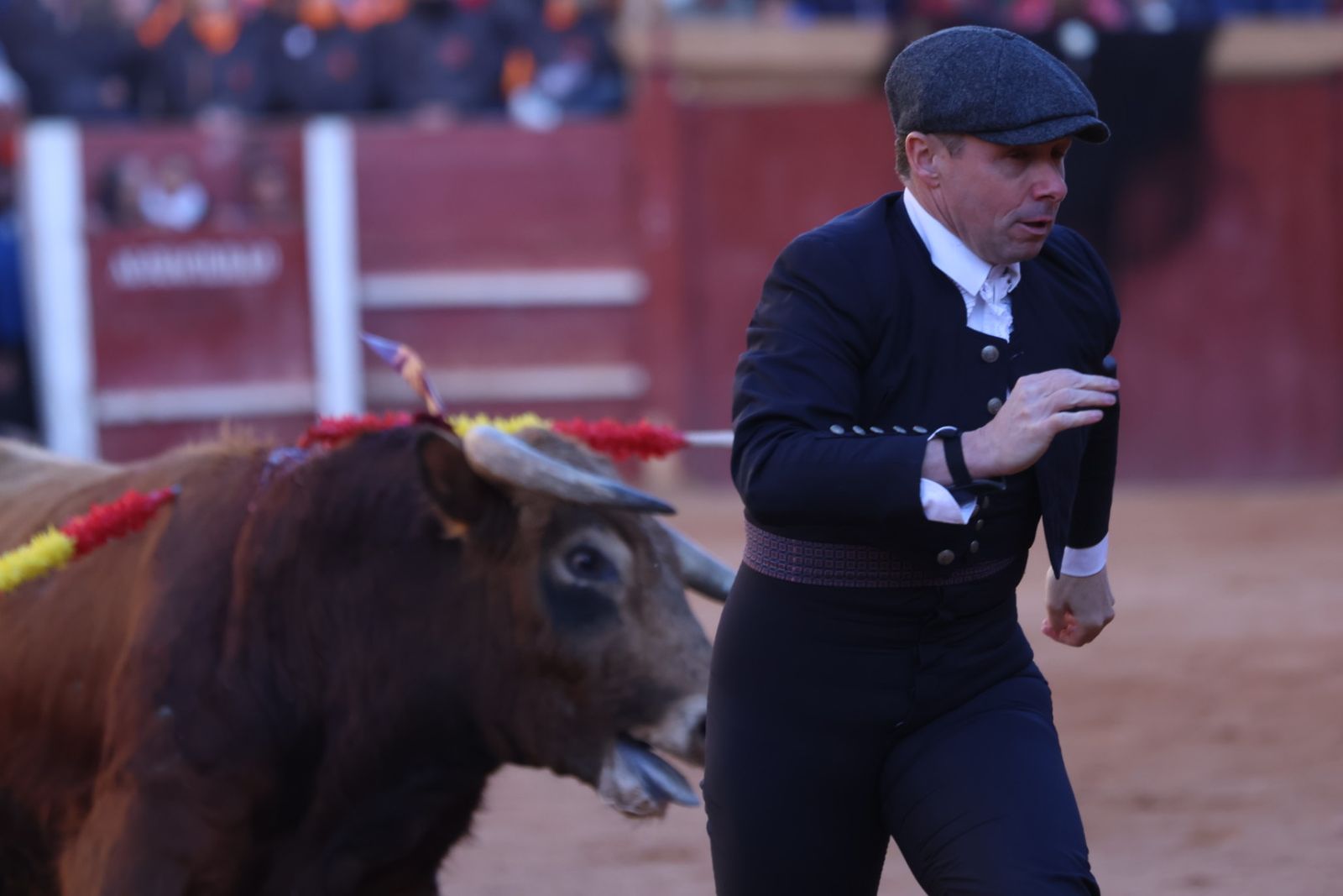 Festival taurino del Sábado en el Carnaval del Toro 2026 de Ciudad Rodrigo