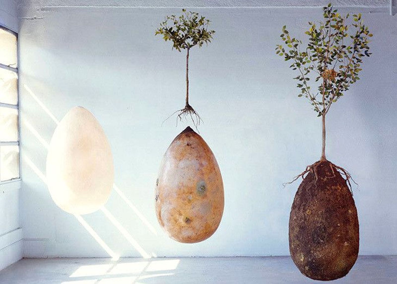 Capsula Mundi, el entierro ecológico del futuro