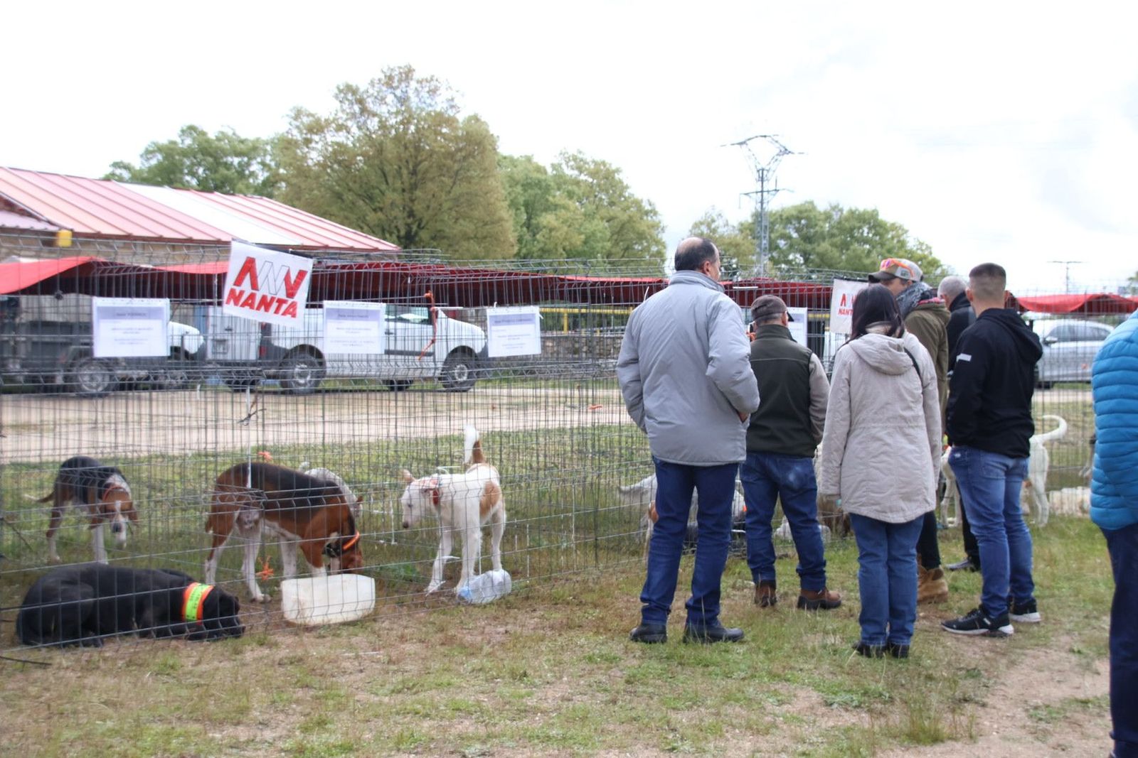 20240501104450-img-2970