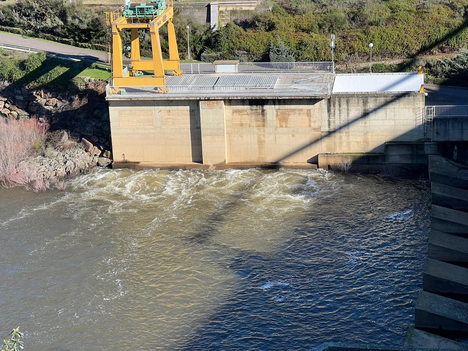 whatsapp-image-2024-01-20-at-13-55-00-1