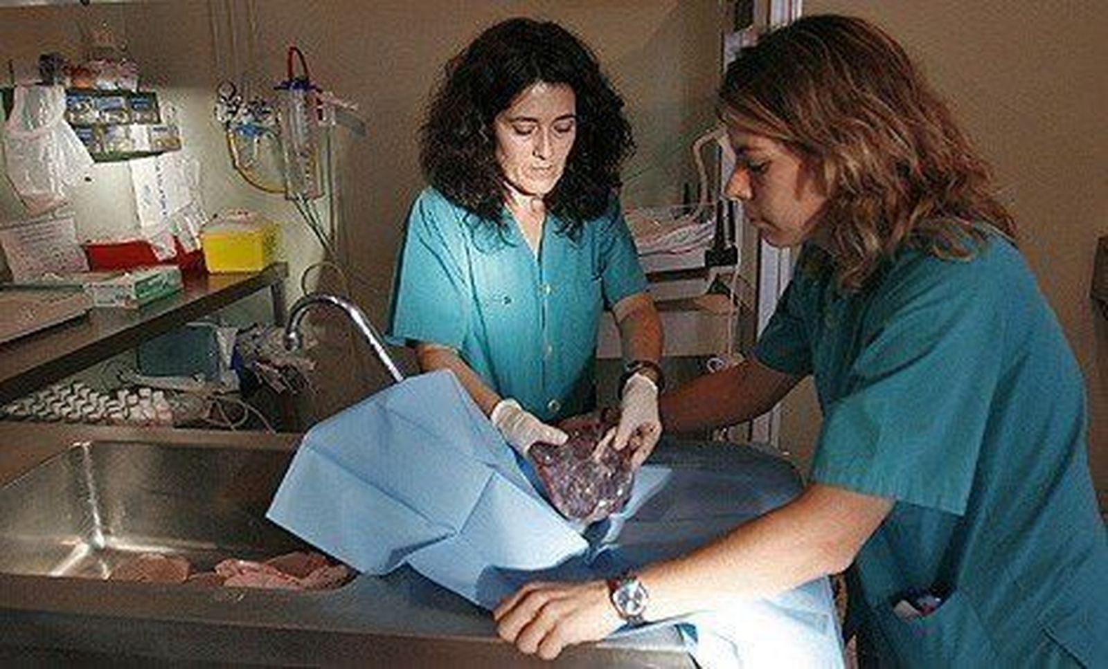 SATSE. Matronas. Archivo.