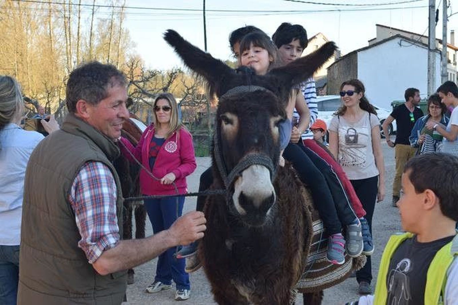 Ruta senderista de burros zamoranos-leoneses entre San Vitero y San Juan del Rebollar