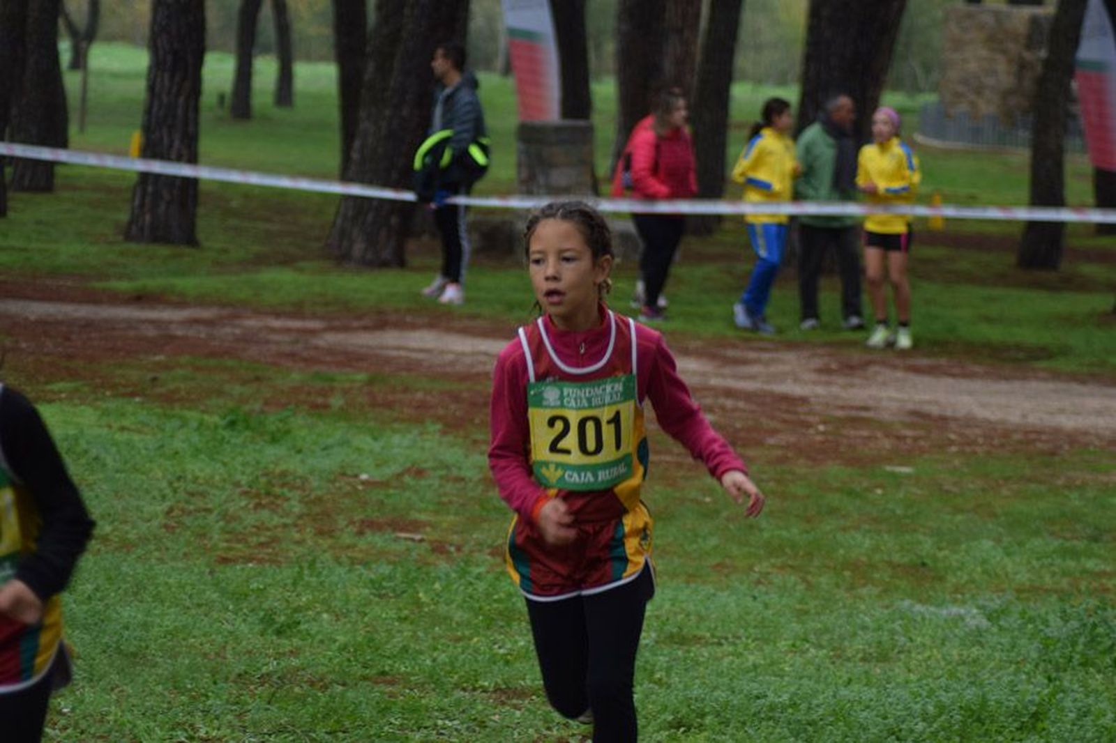 cross-de-otono-en-el-bosque-de-valorio-16