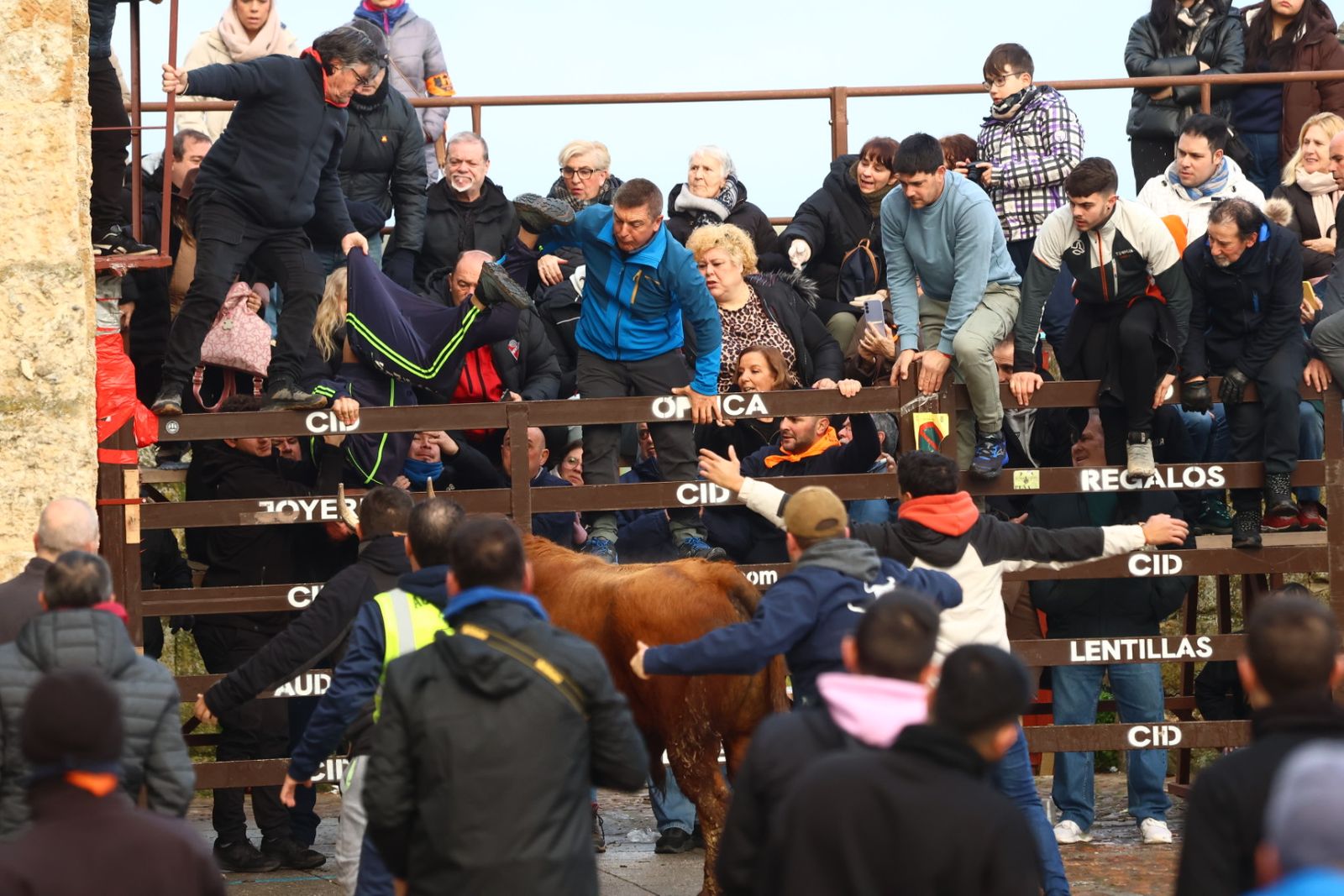 Toro del aguardiente en la mañana de martes del Carnaval del Toro 2026