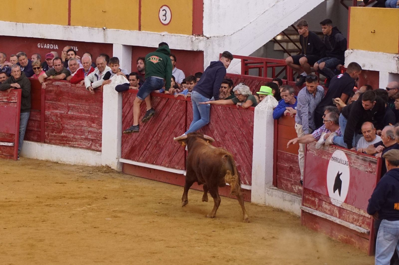 e148039a-d9a1-434a-ab11-78a68cf85282