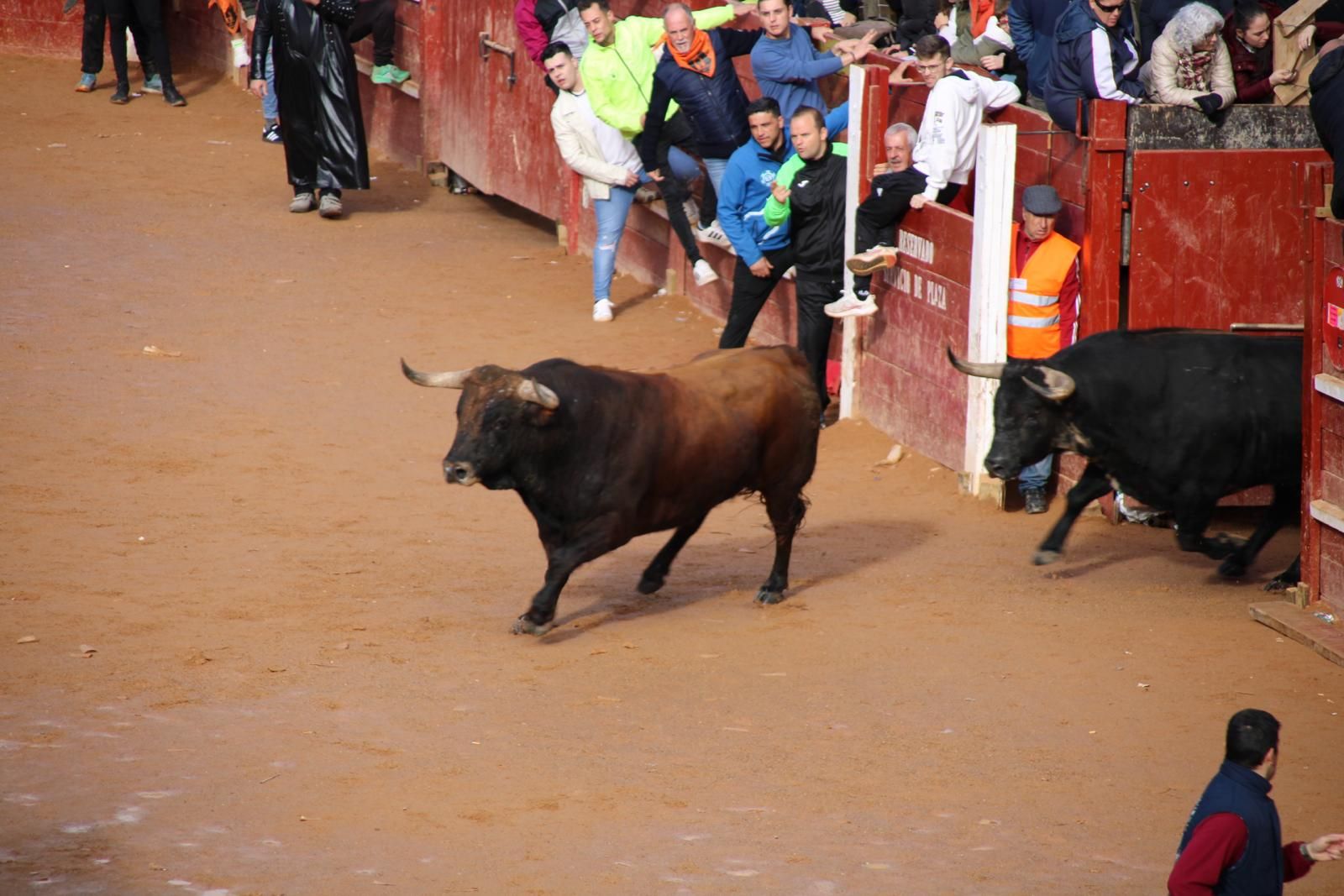 encierro-del-martes-de-carnaval-en-ciudad-rodrigo-33
