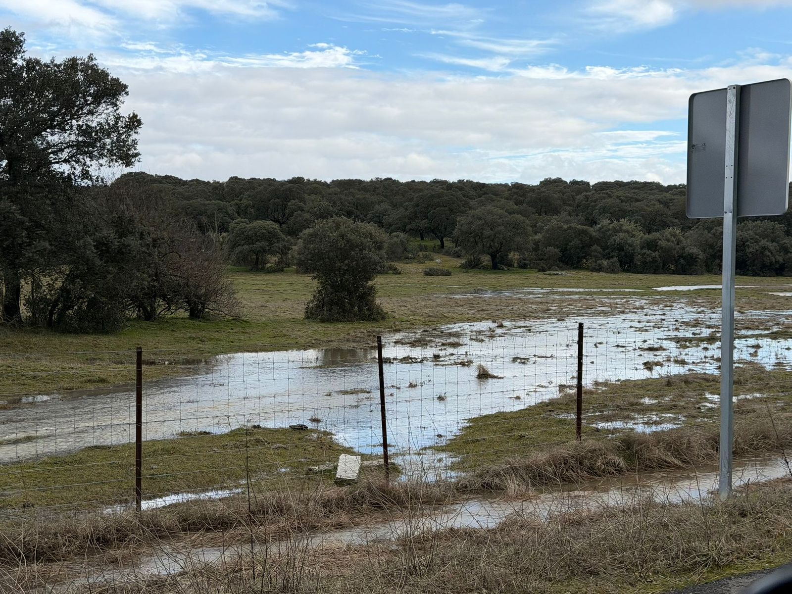 El campo anegado de agua en la zona del Campo Charro