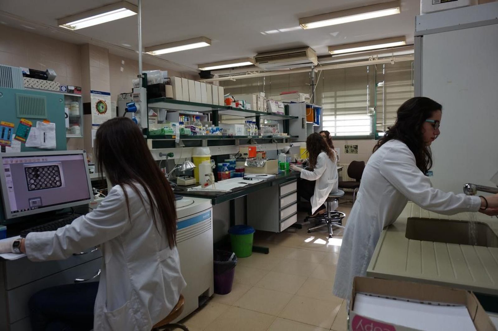 Investigacion (11)