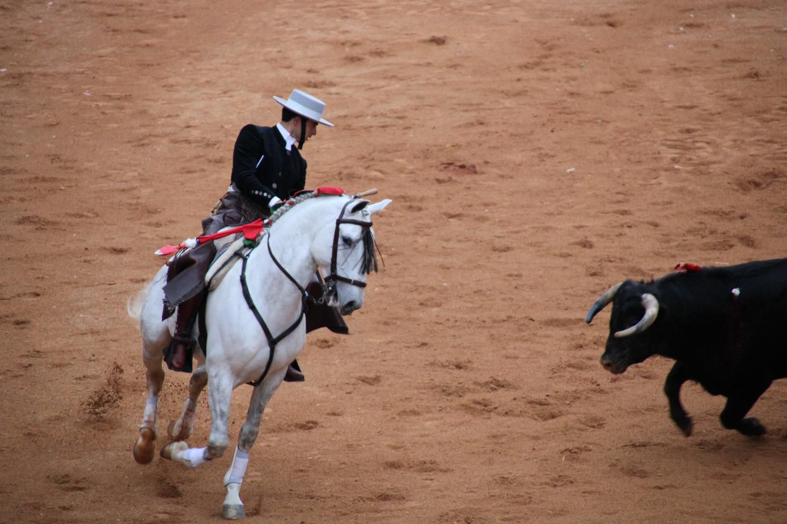 whatsapp-image-2025-03-02-at-18-55-54-1