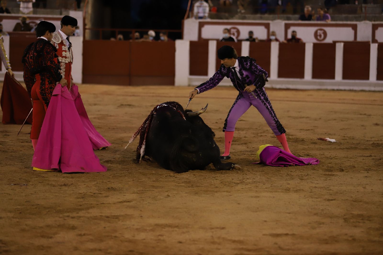 roca-rey-pablo-aguado-y-daniel-luque-en-zamora-45
